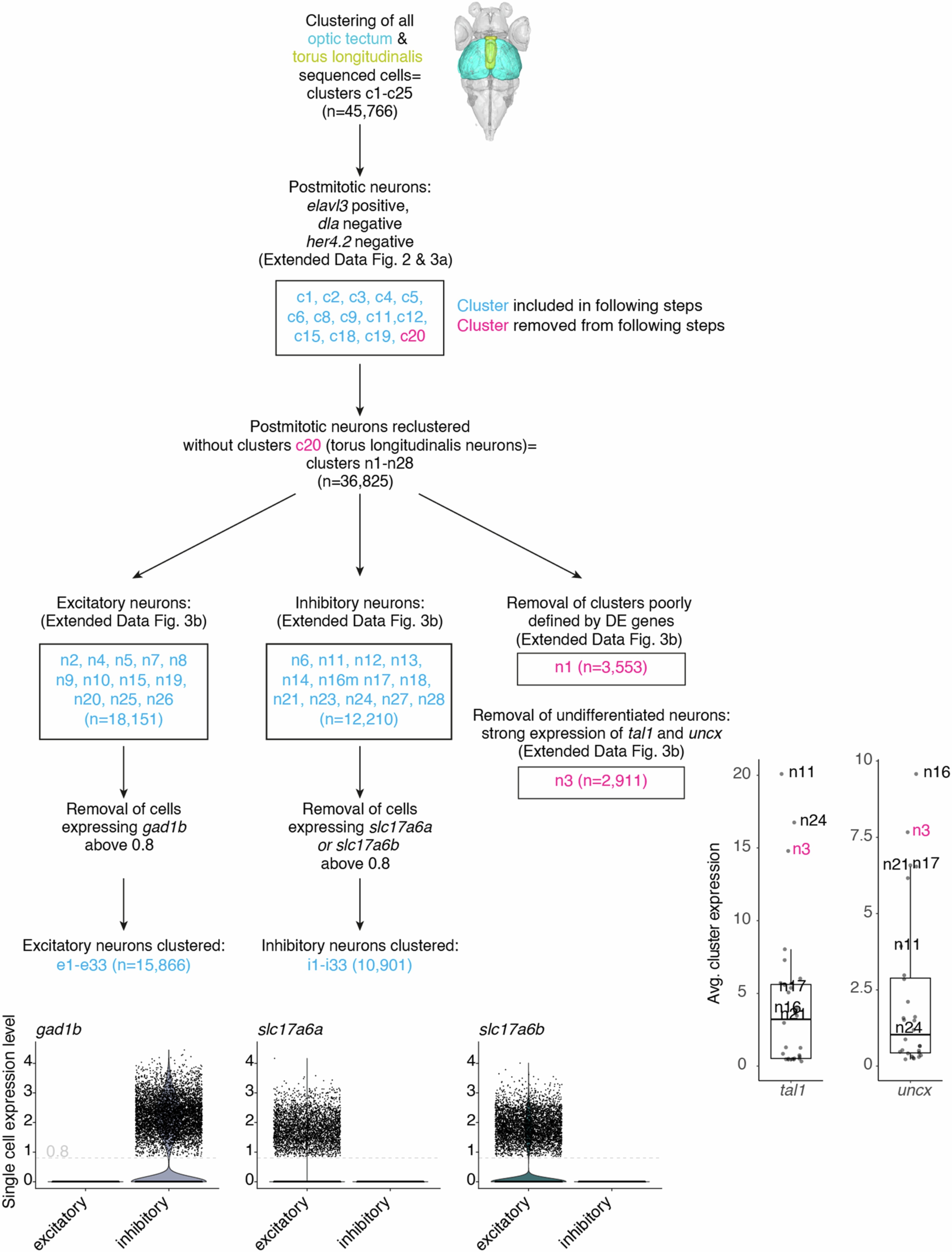Extended Data Fig. 5: Summary of scRNA-seq clustering steps.