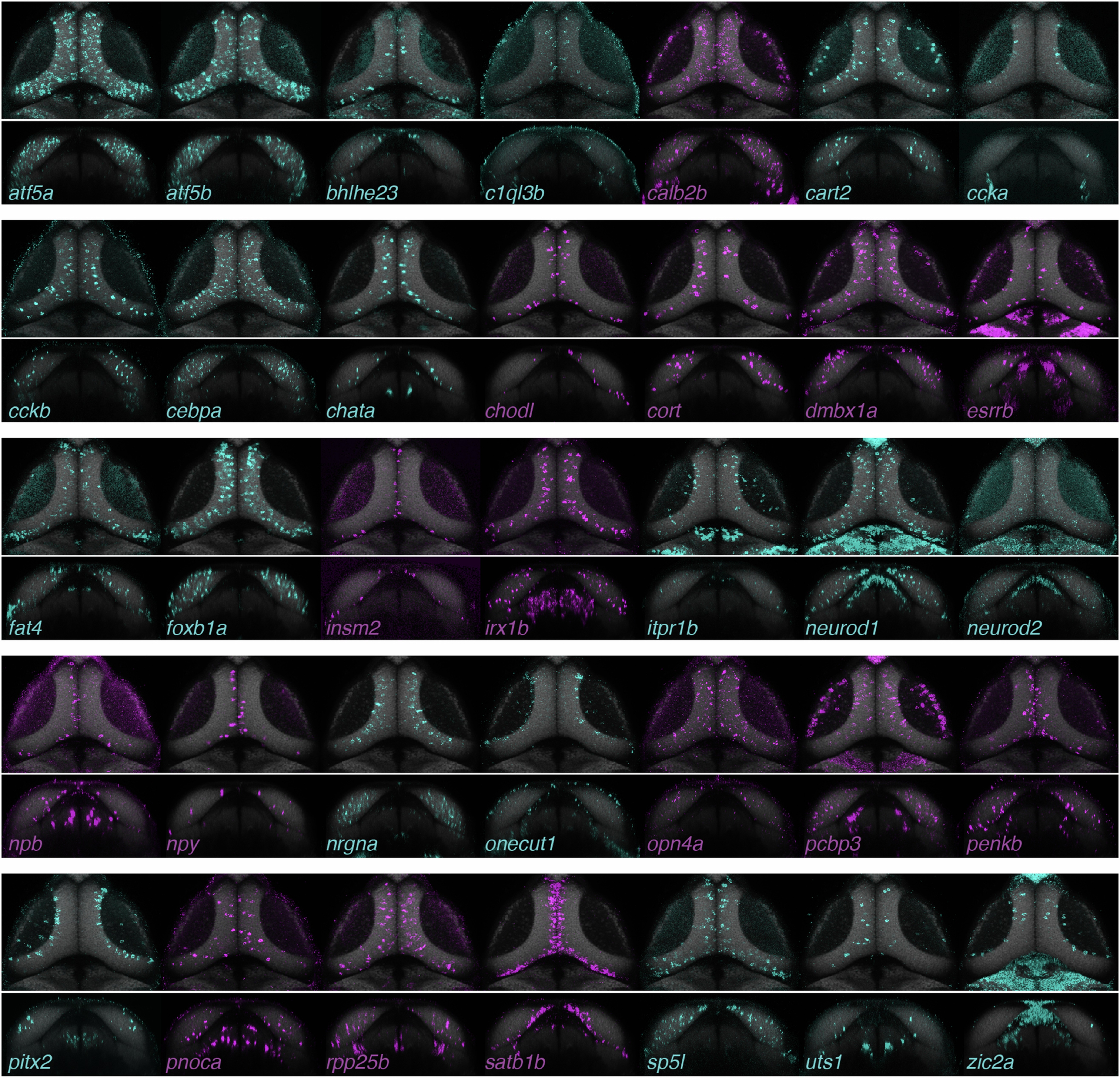 Extended Data Fig. 7
