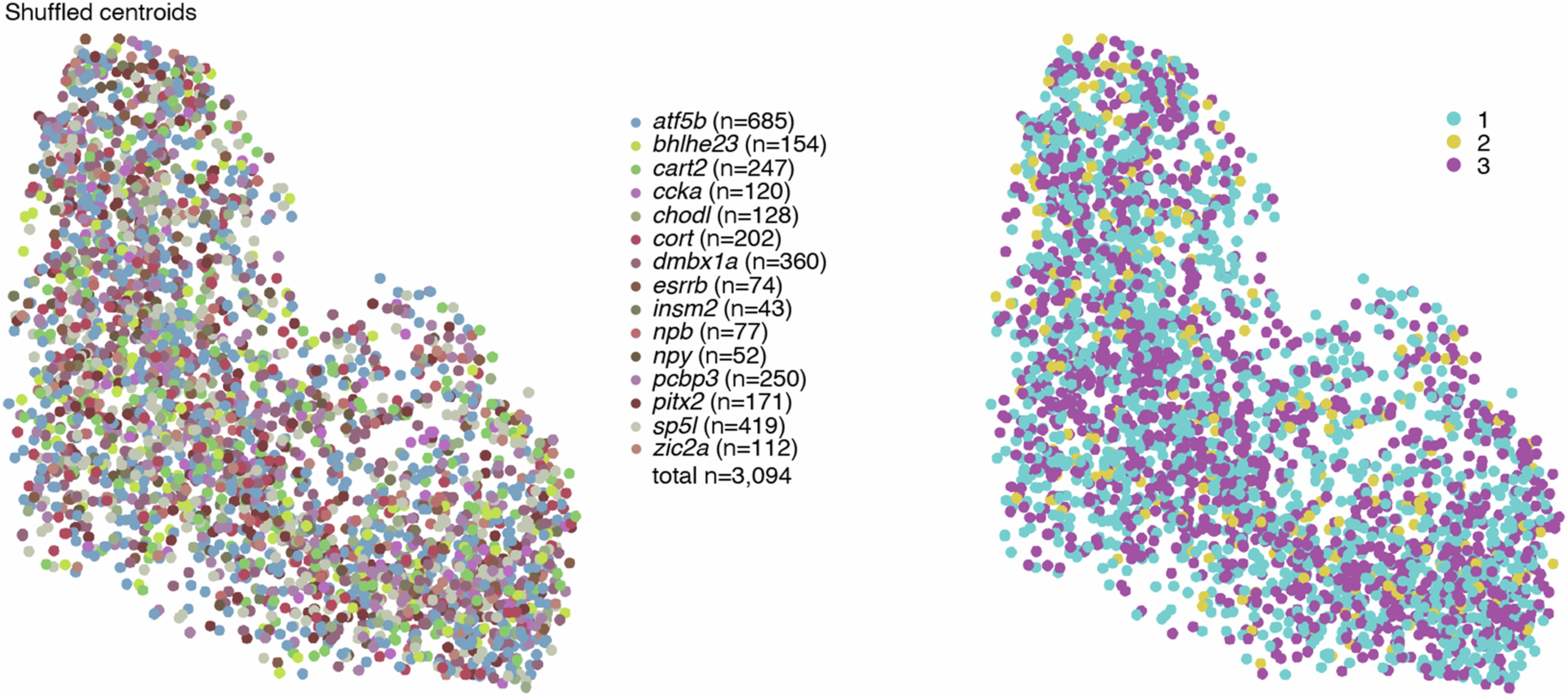 Extended Data Fig. 8: Spatial organization of shuffled labels.