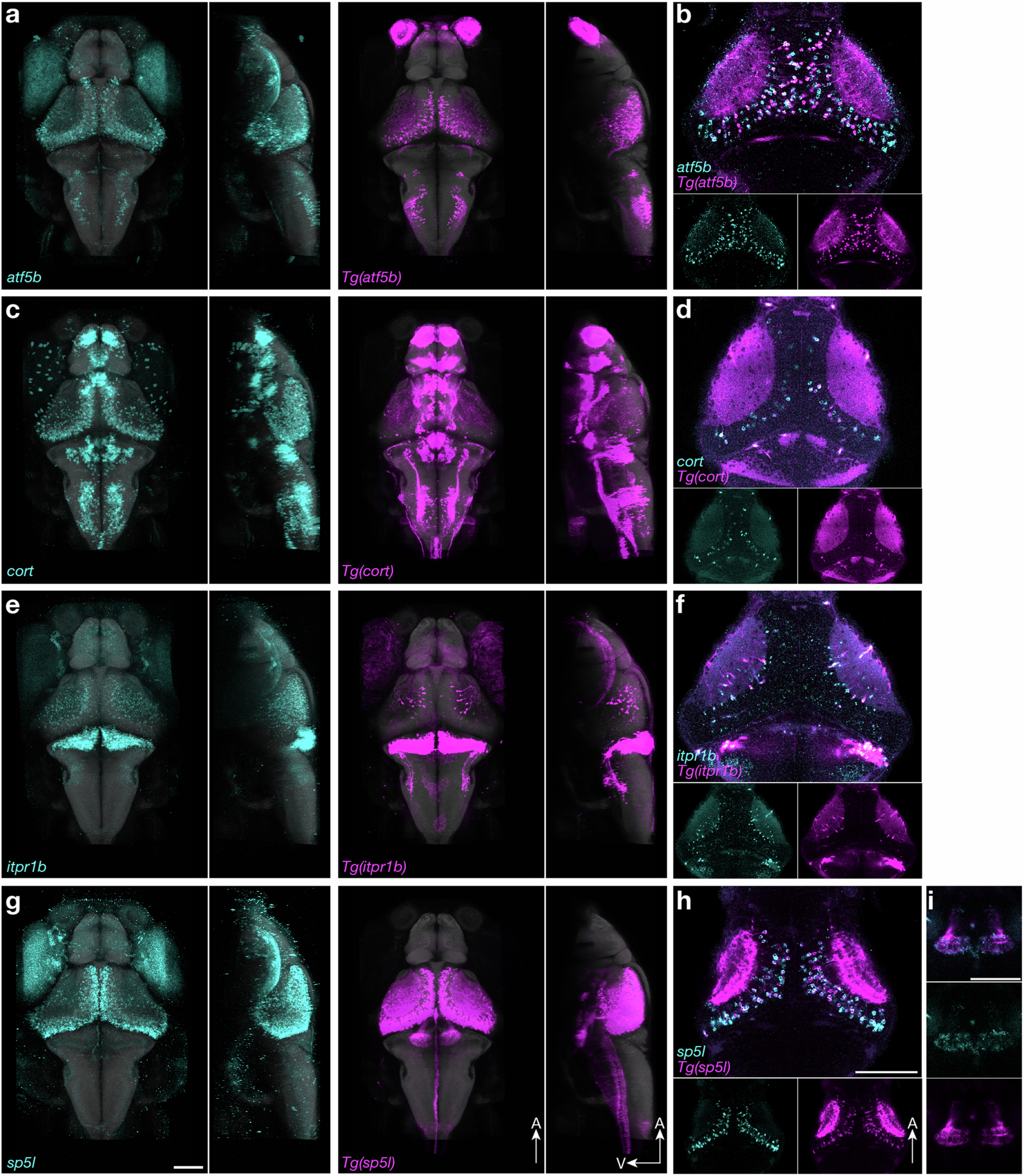 Extended Data Fig. 12