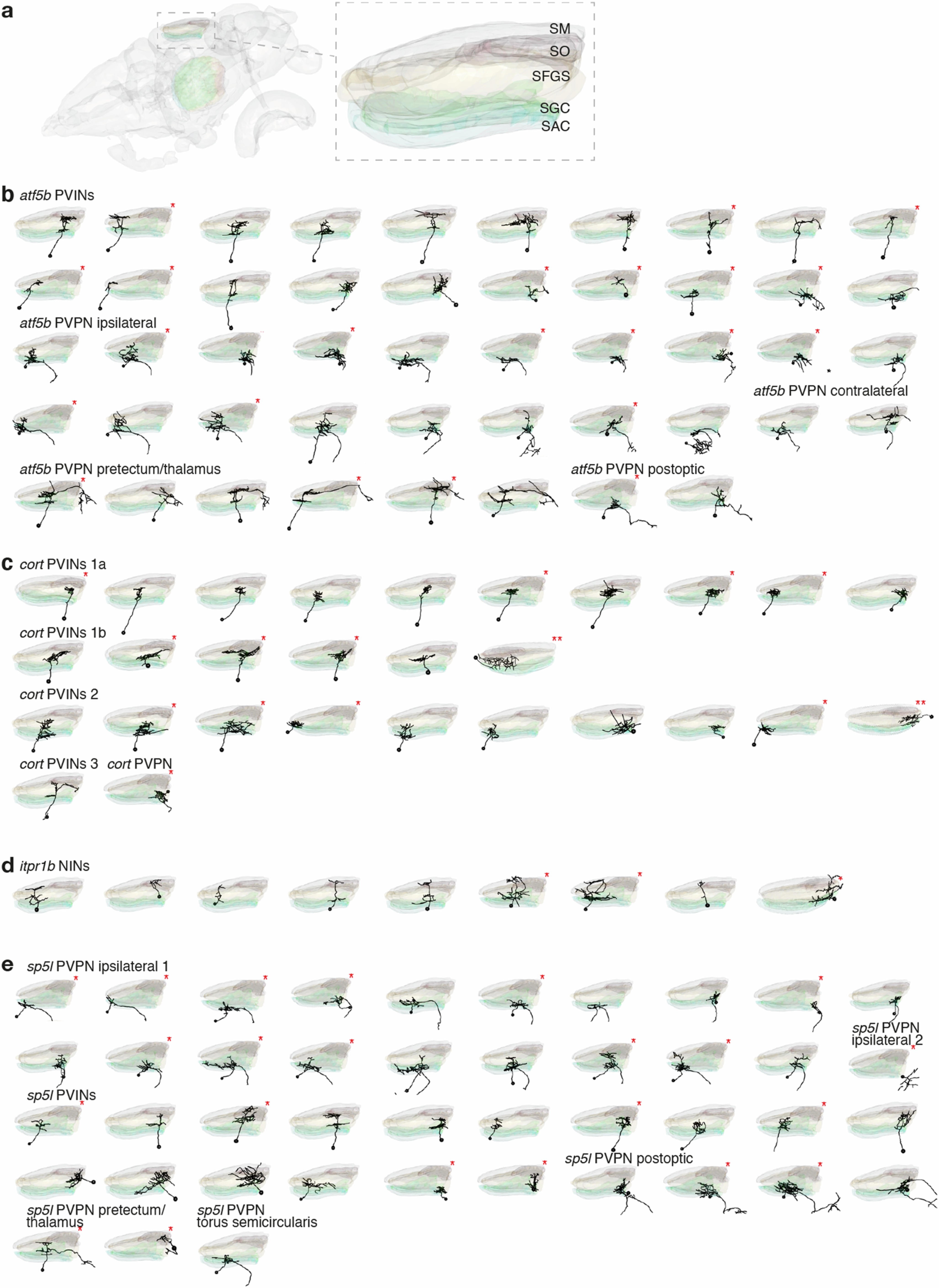 Extended Data Fig. 13