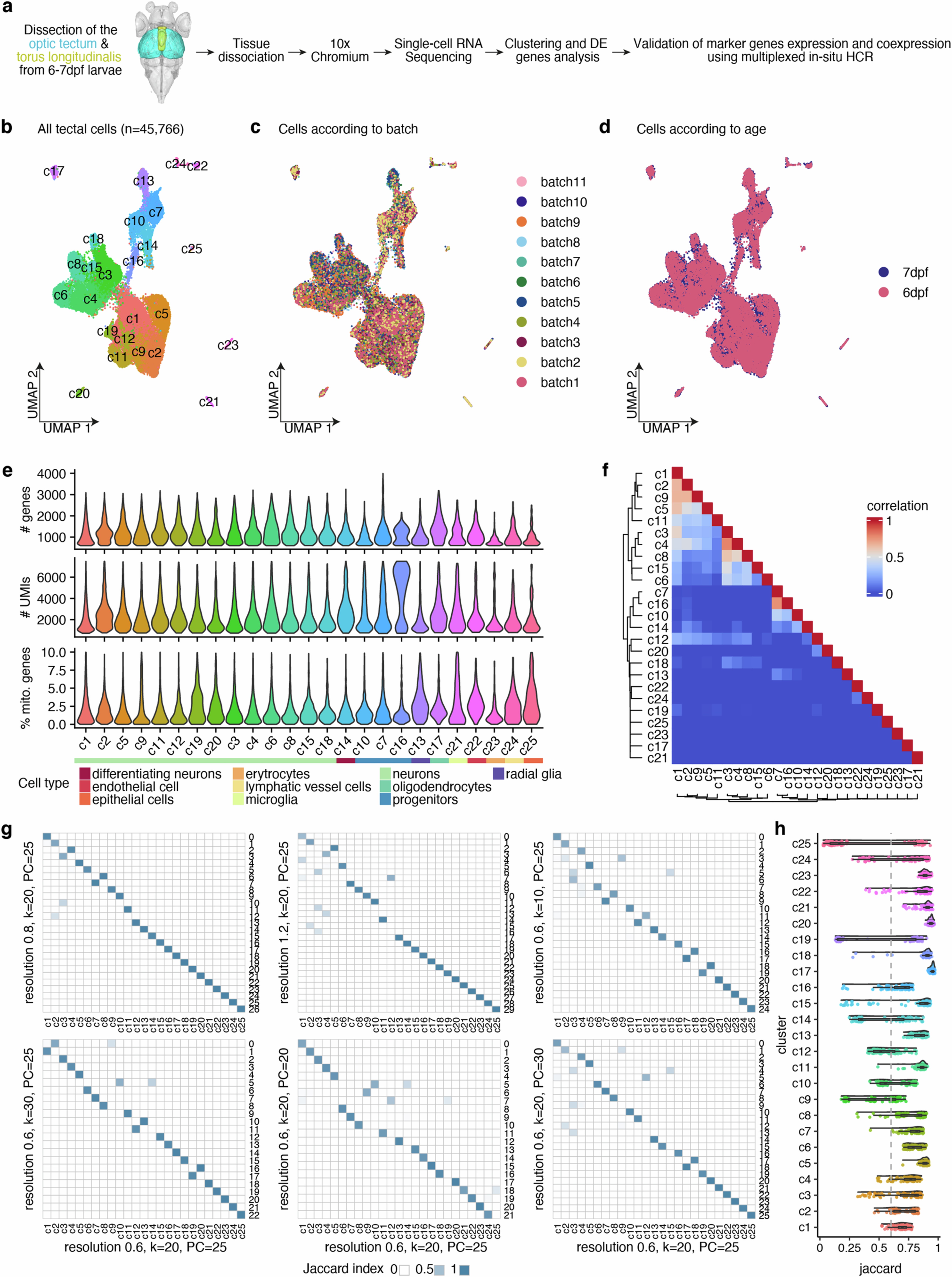 Extended Data Fig. 1: QC of the scRNA-Seq clustering analysis.