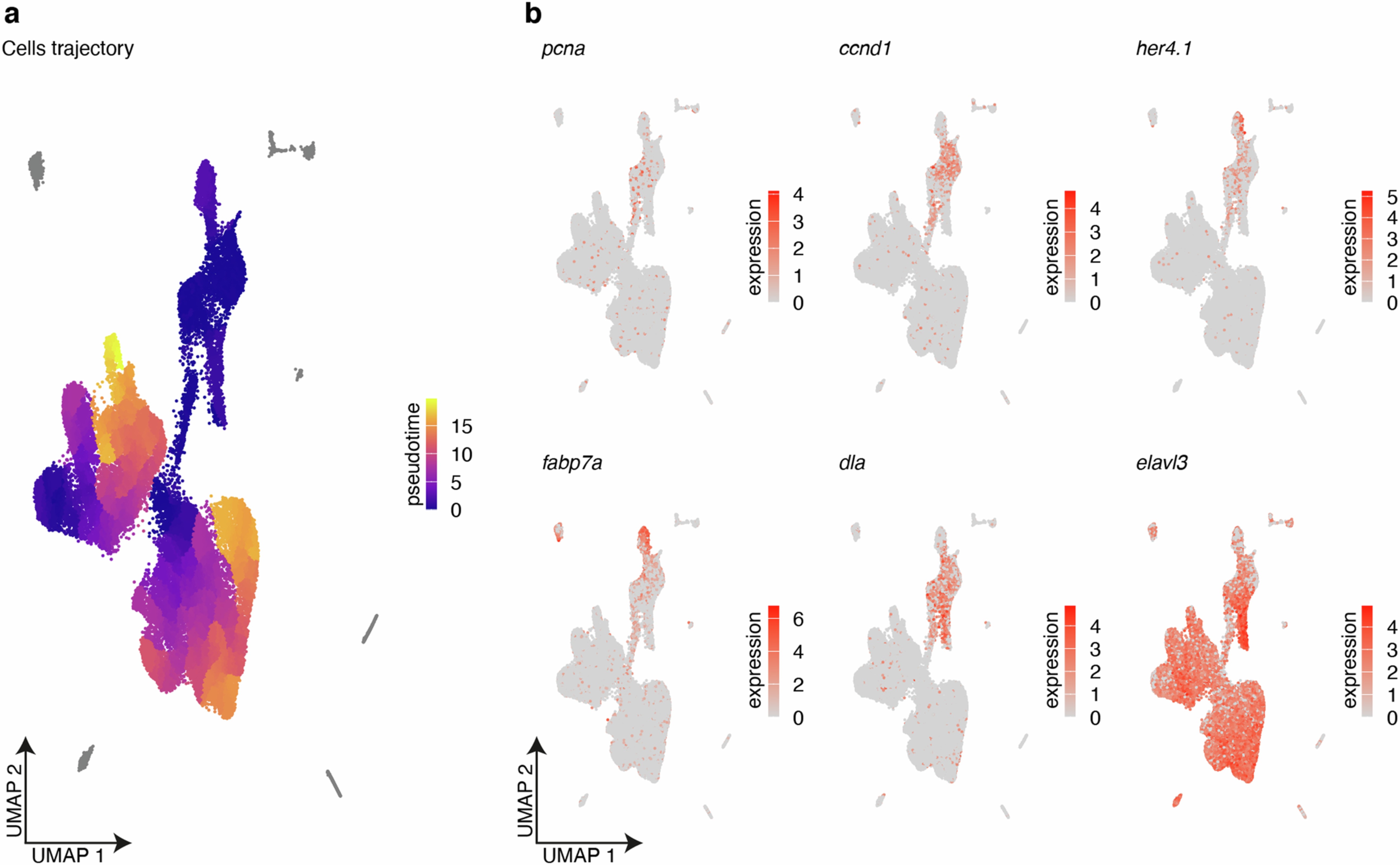 Extended Data Fig. 2