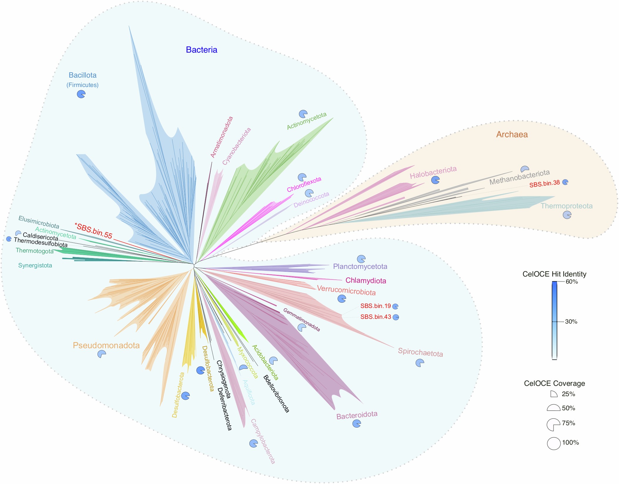 Extended Data Fig. 3: Distribution of CelOCE orthologs across bacterial and archaeal phyla.