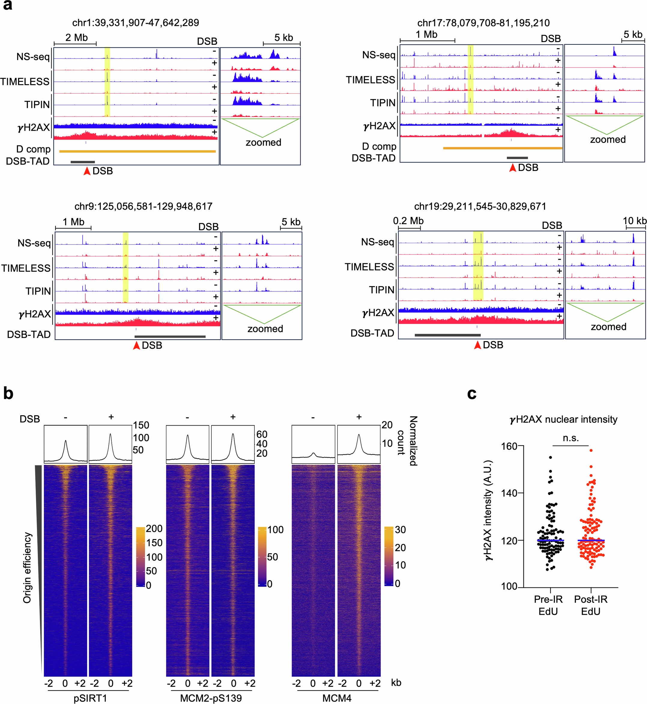 Extended Data Fig. 8: Mapping DSB-proximal suppression of replication origins.
