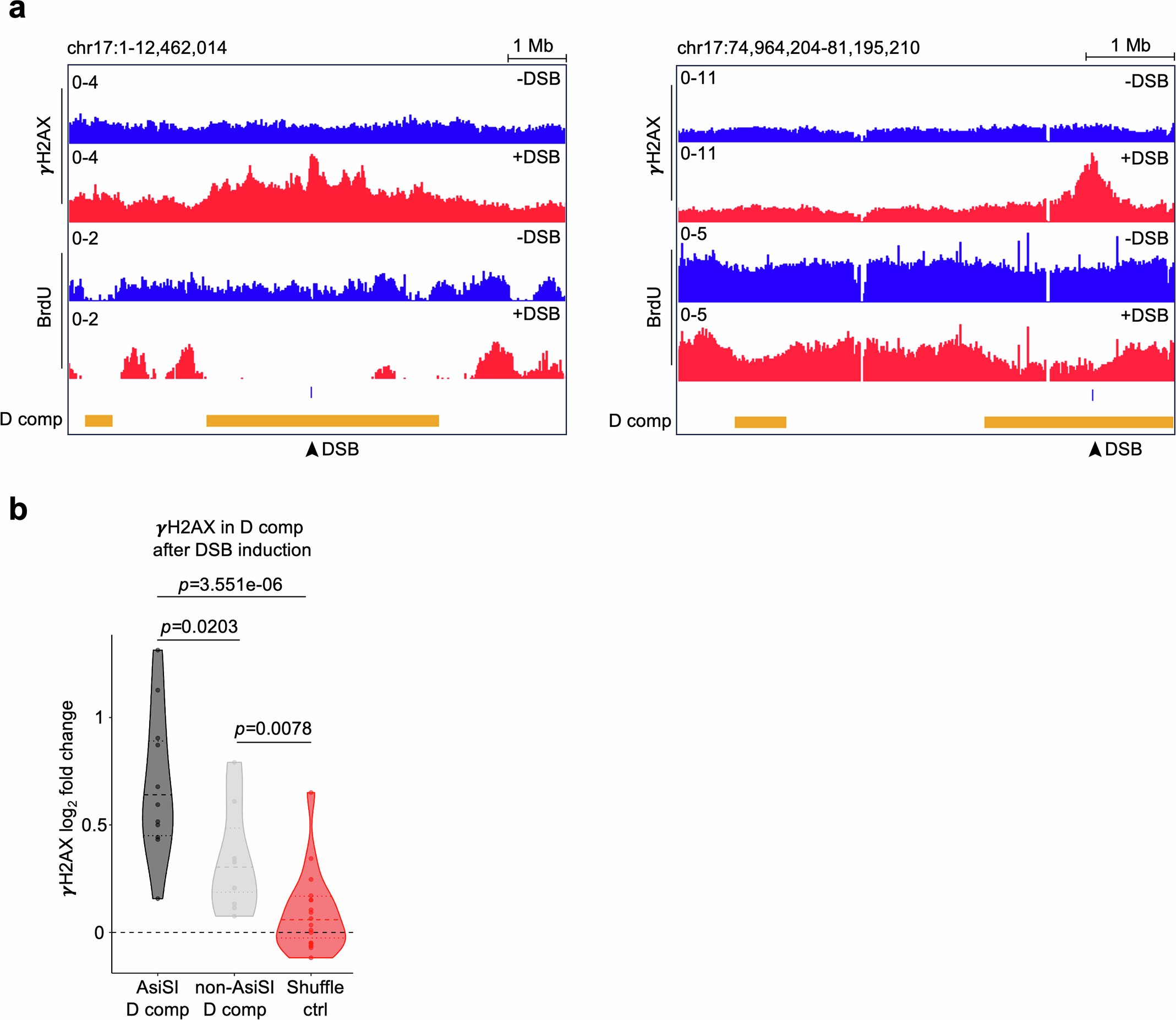 Extended Data Fig. 4: D compartment and local inhibition of DNA replication.