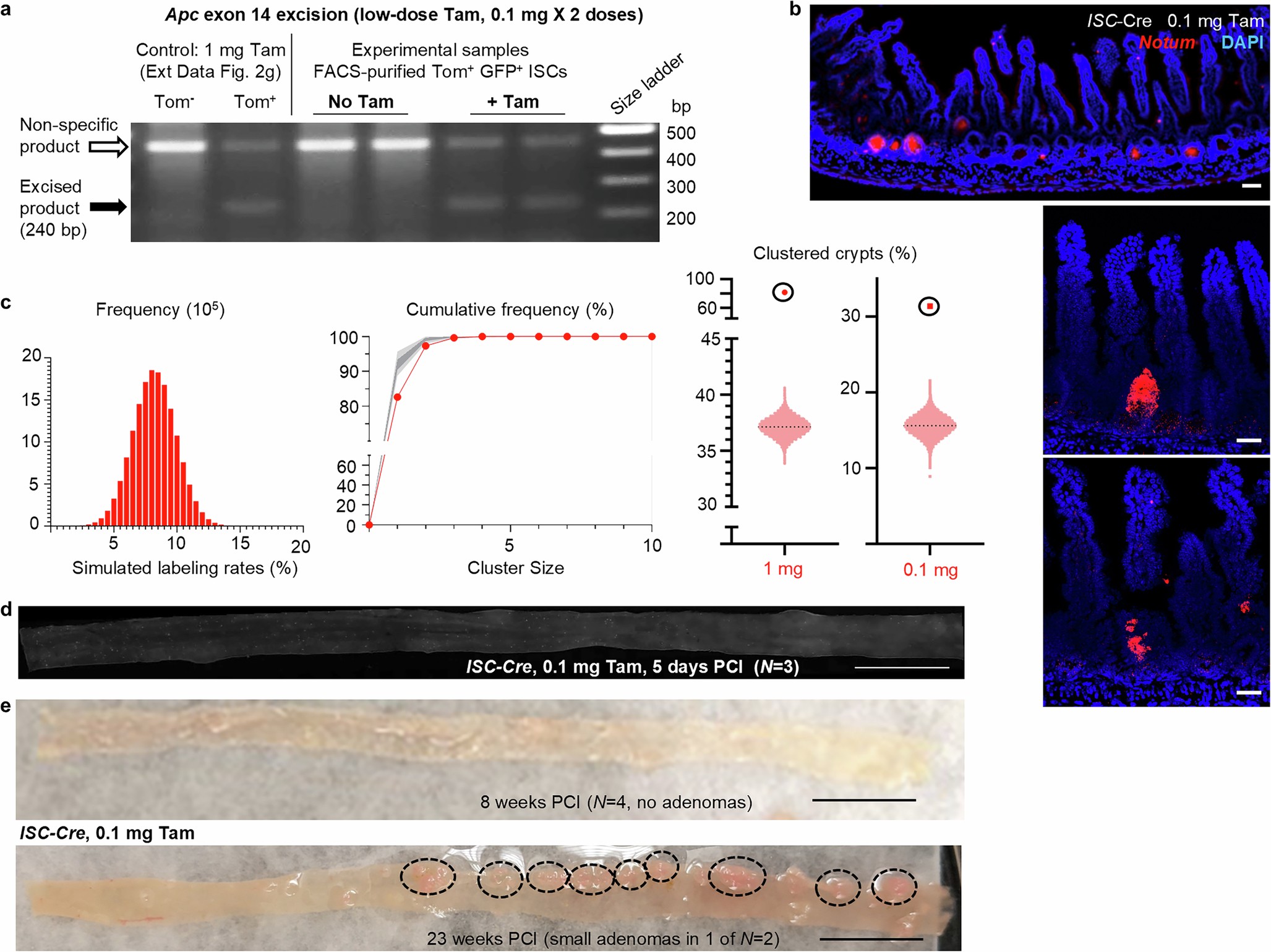 Extended Data Fig. 6
