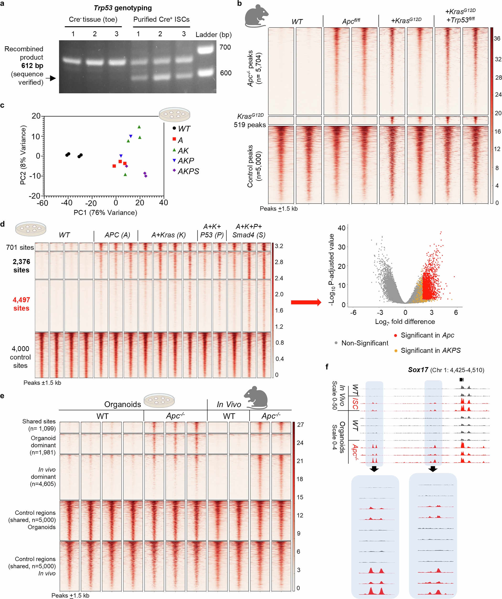 Extended Data Fig. 8