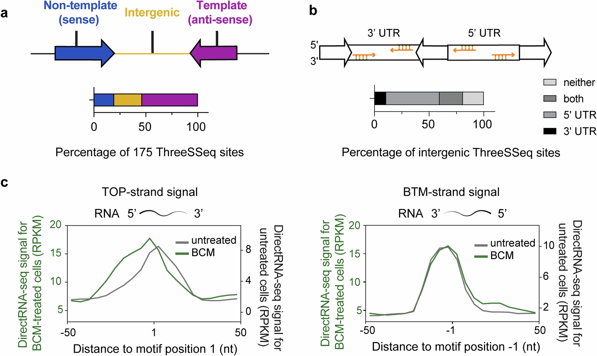 Extended Data Fig. 7: Endogenous 3’-ssDNA-ends at consensus sites are associated with termination of unannotated transcripts.