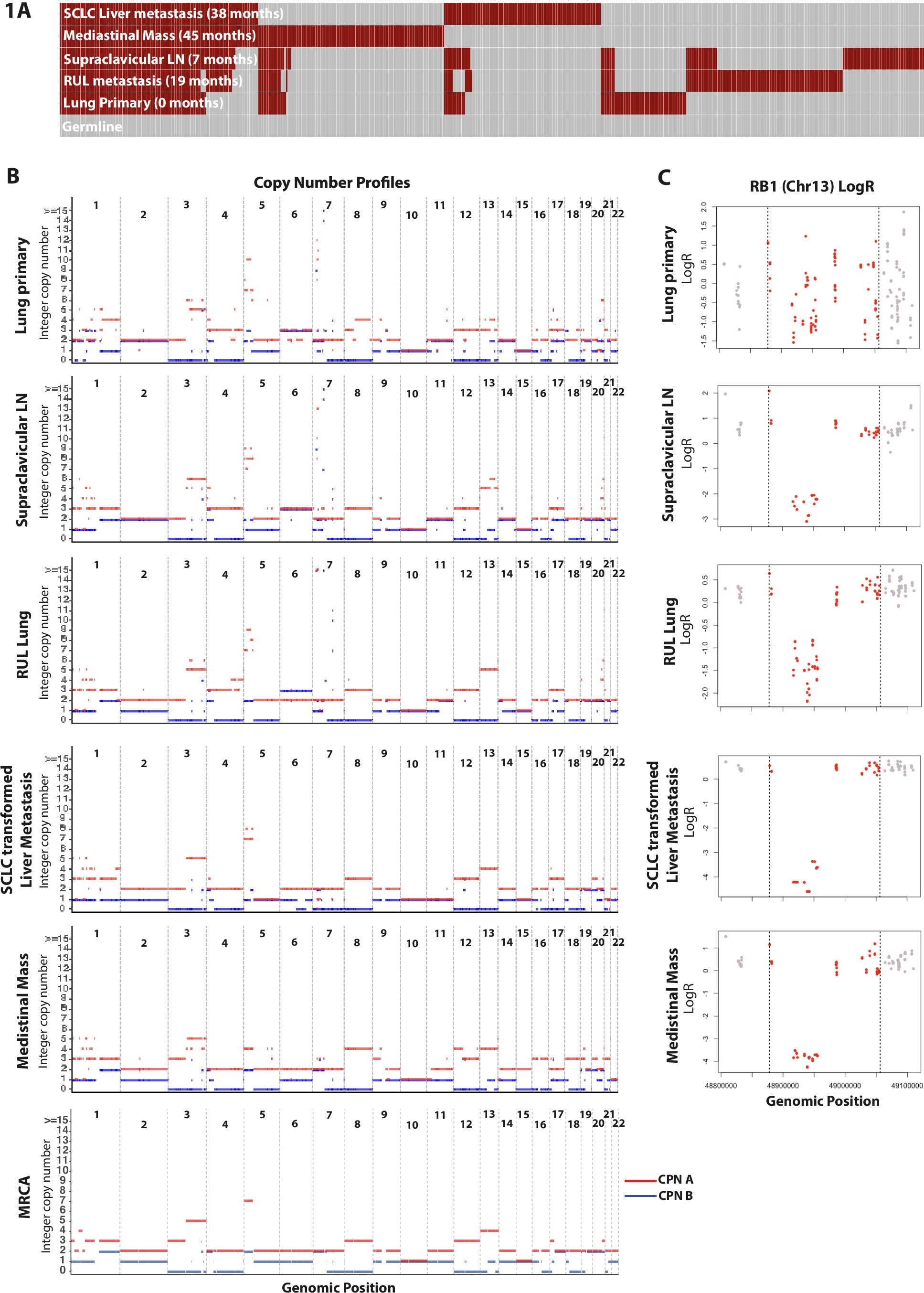 Extended Data Fig. 1: Whole exome sequencing results.