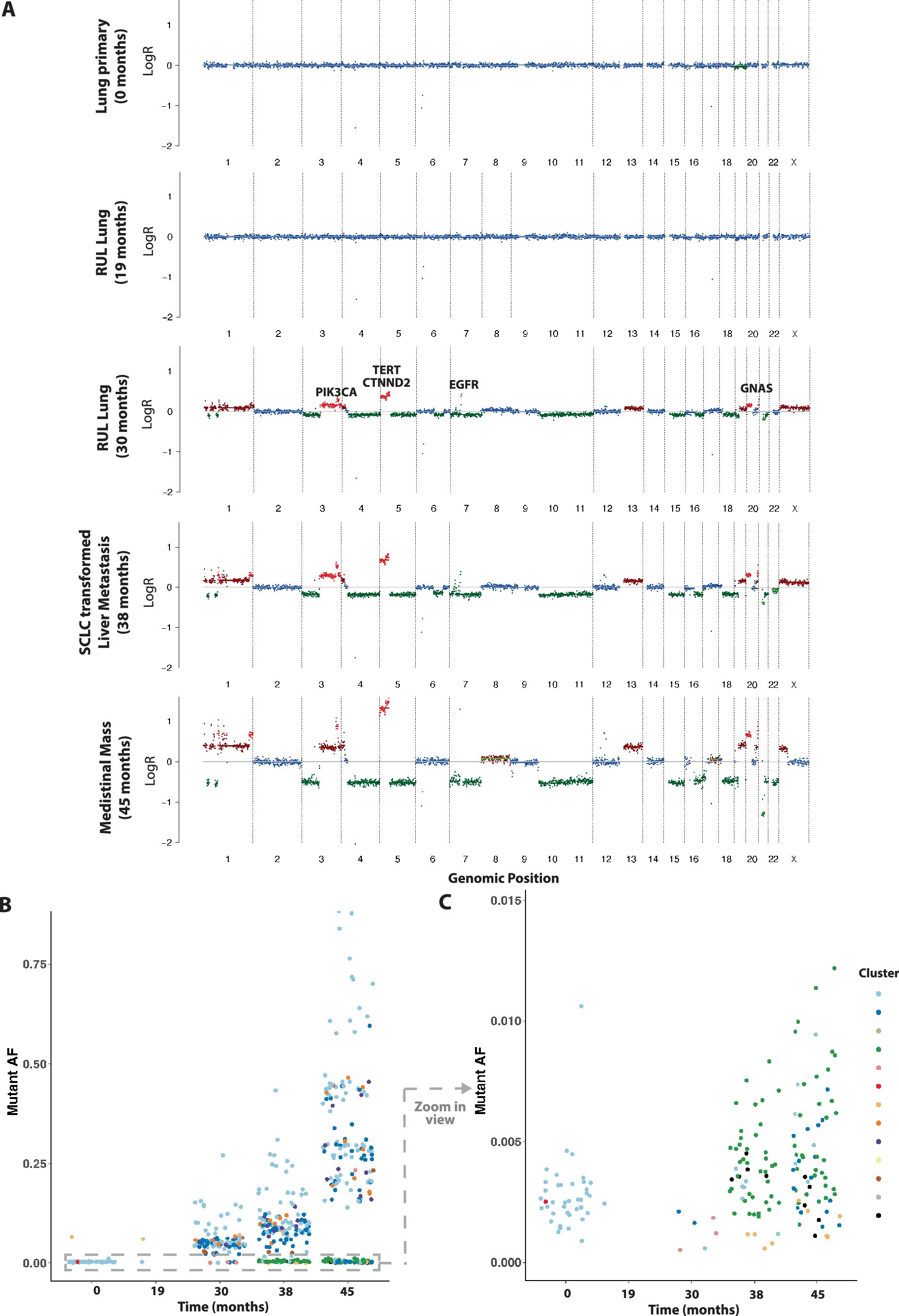 Extended Data Fig. 3: ctDNA analyses.