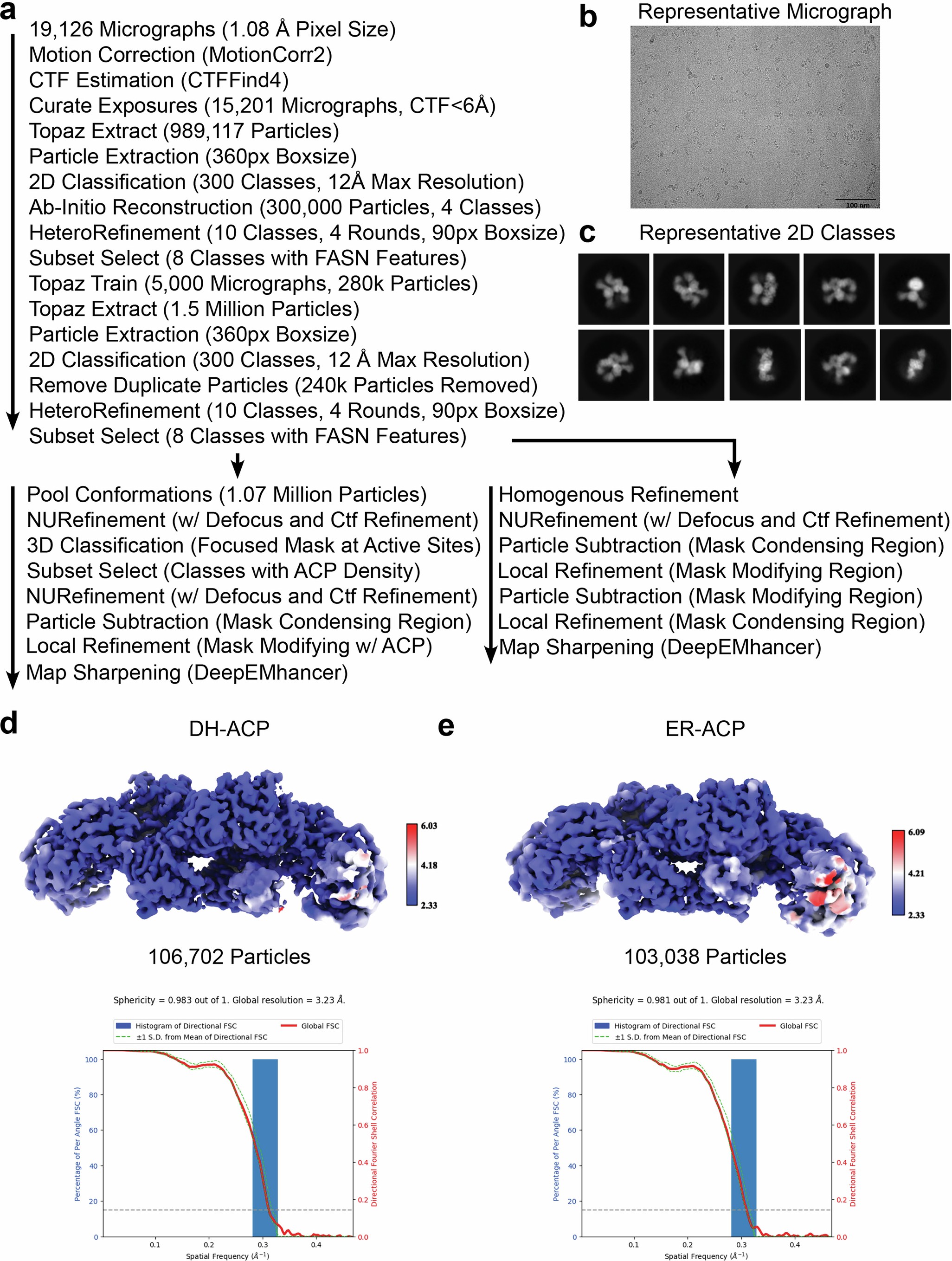 Extended Data Fig. 2: Cryo-EM workflow for NADPH dataset.