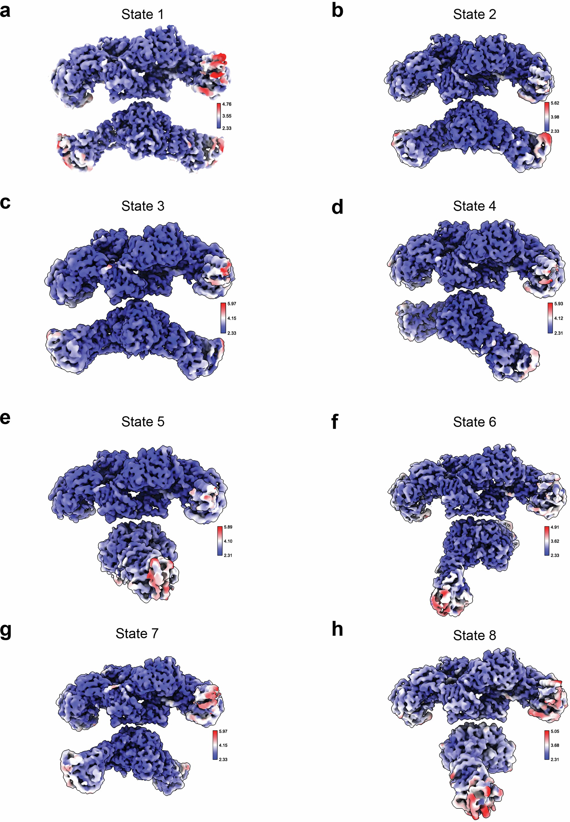 Extended Data Fig. 3: Cryo-EM maps of hFASN/NADPH States 2-8.