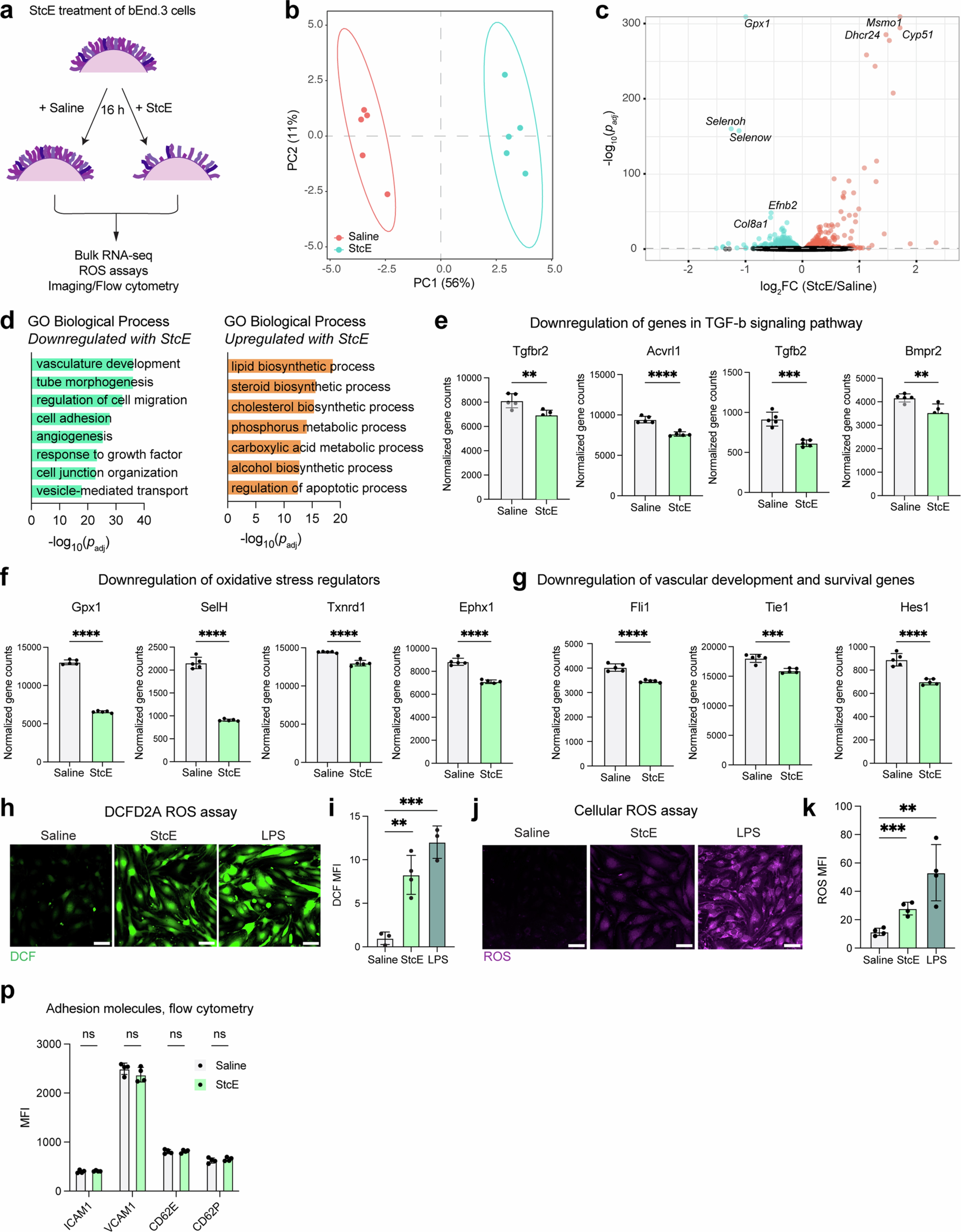 Extended Data Fig. 8