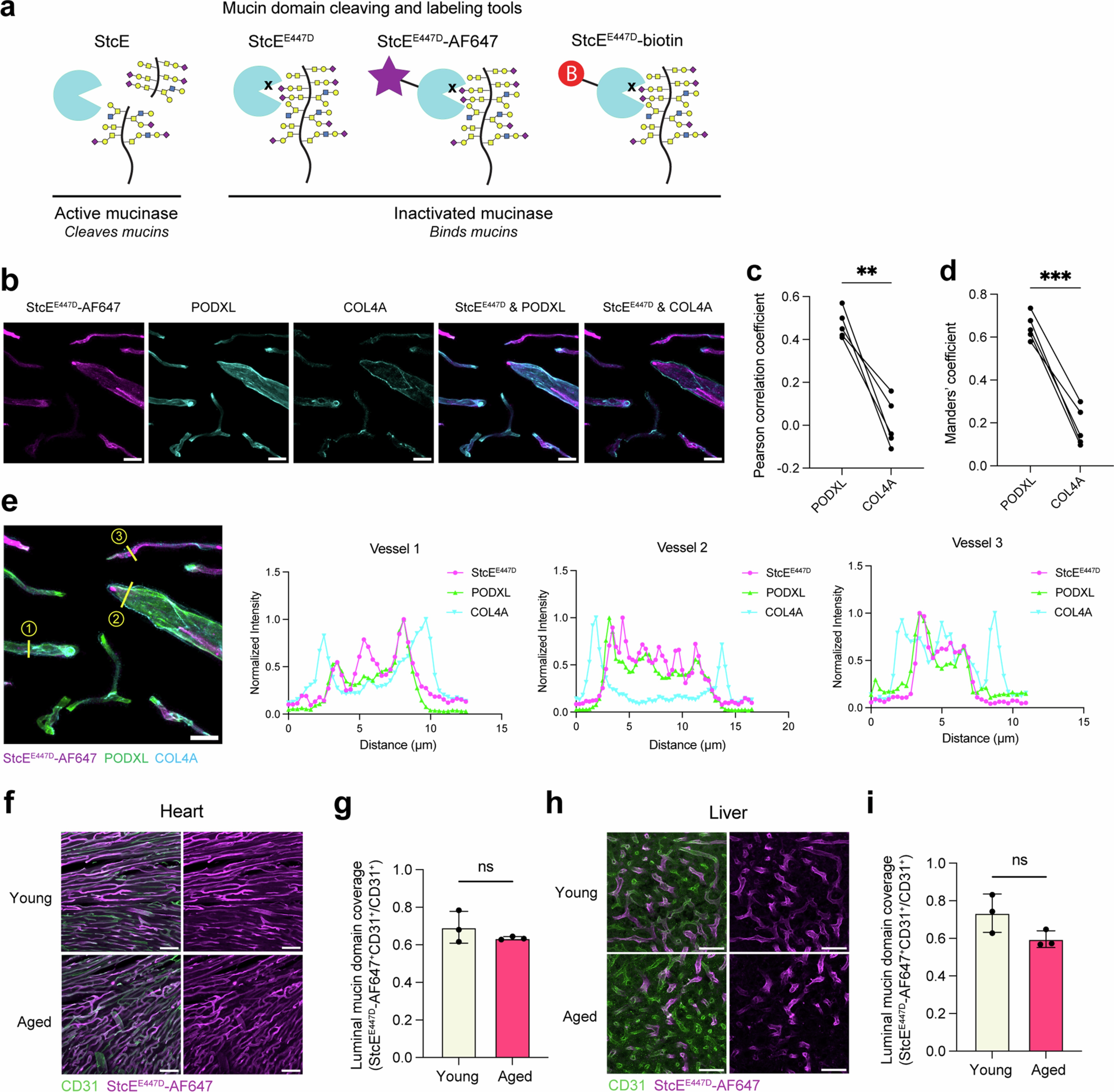 Extended Data Fig. 3