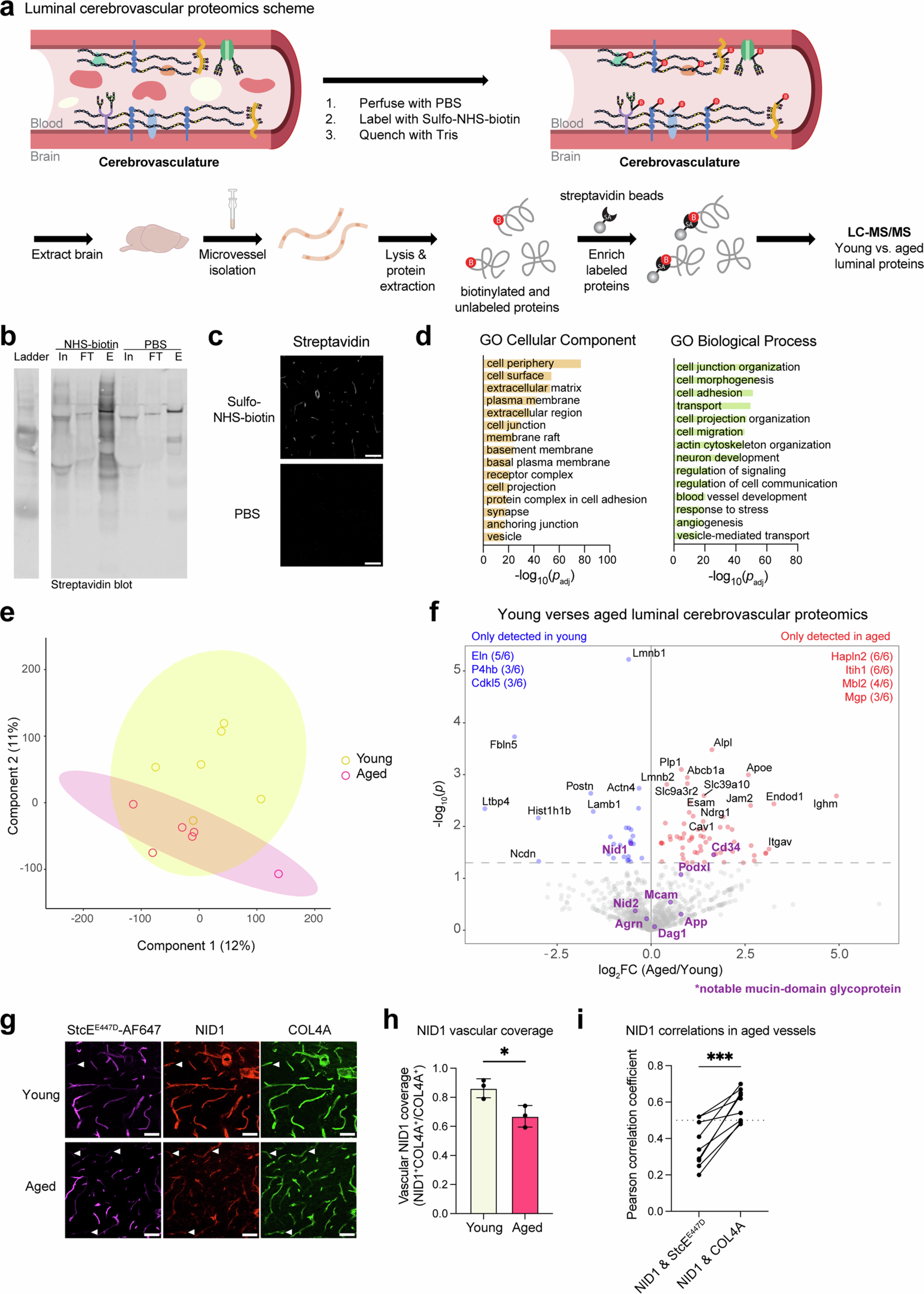Extended Data Fig. 4