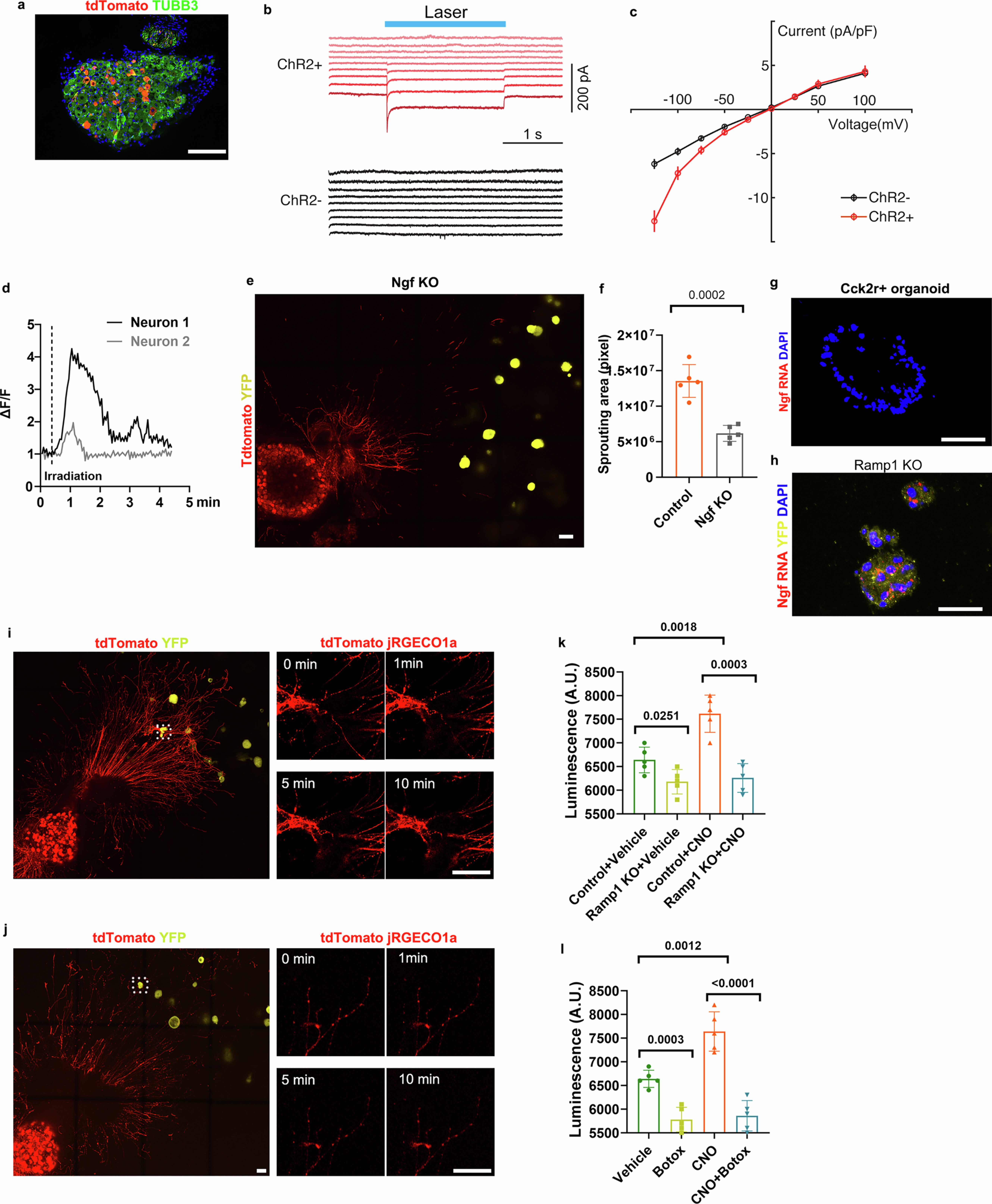 Extended Data Fig. 9