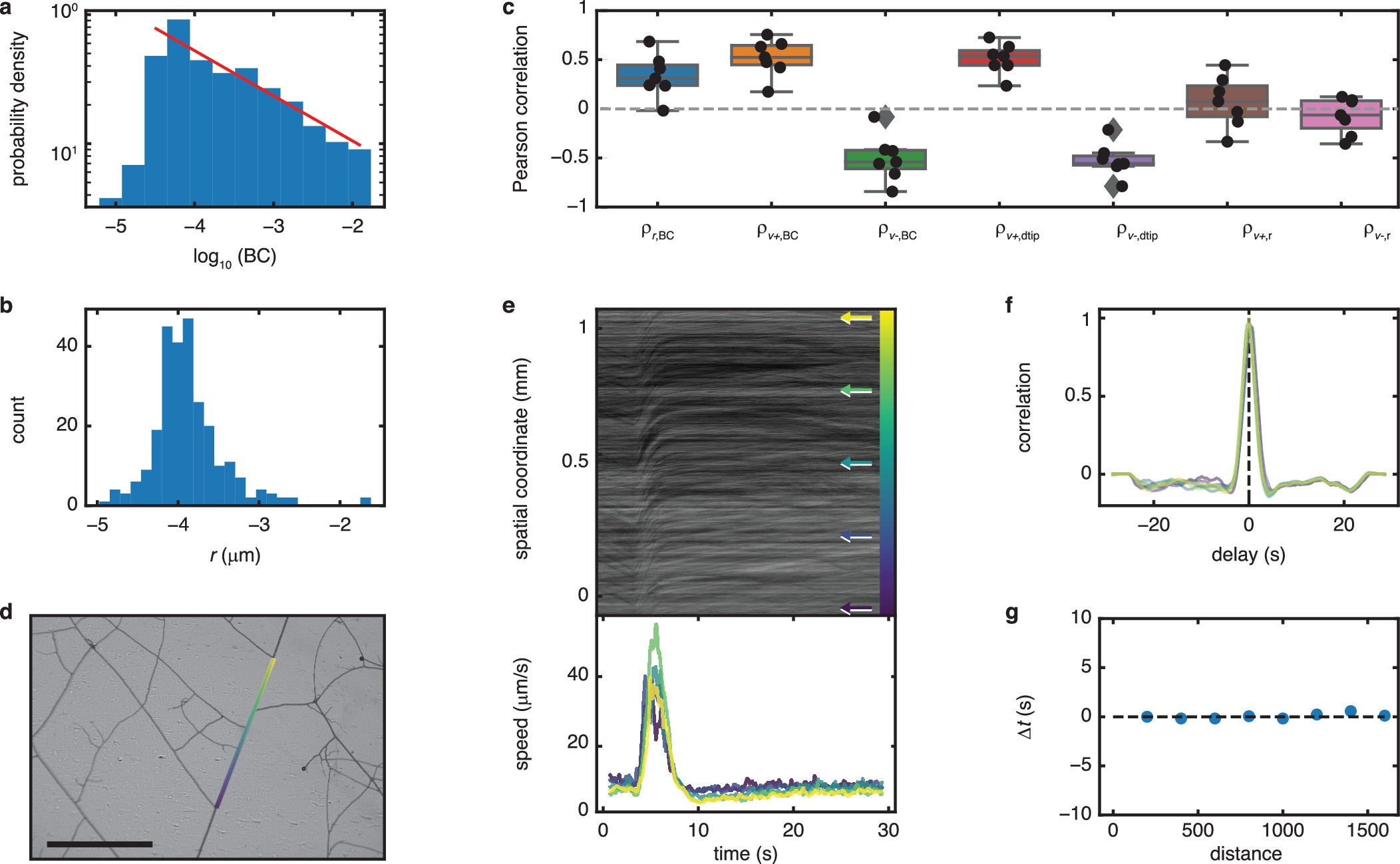 Extended Data Fig. 7