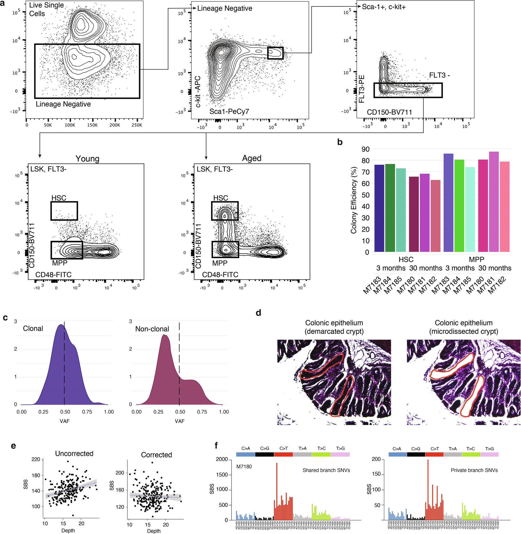 Extended Data Fig. 1