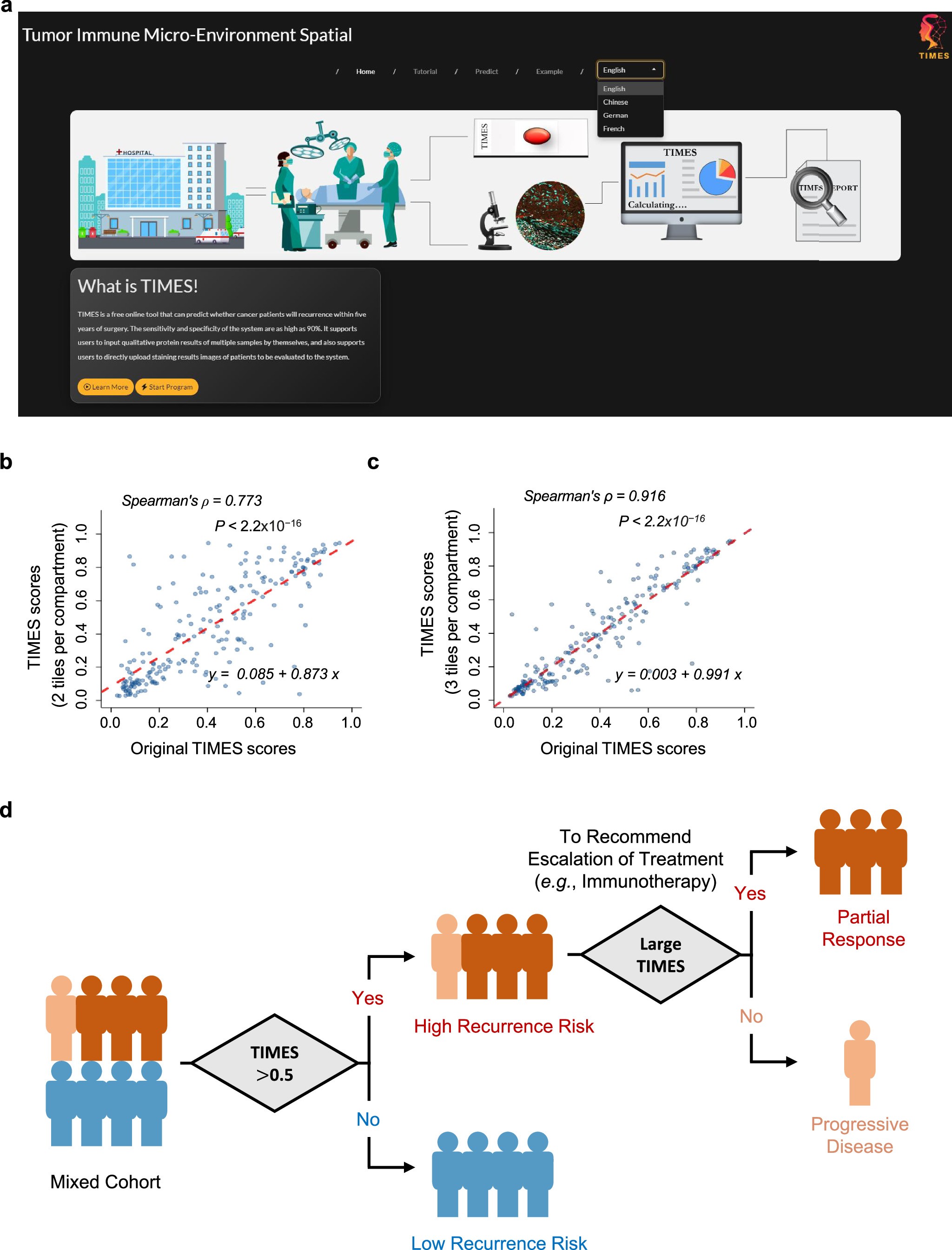 Extended Data Fig. 4: An open web-tool has been developed to facilitate clinical applications of our TIMES scoring system.
