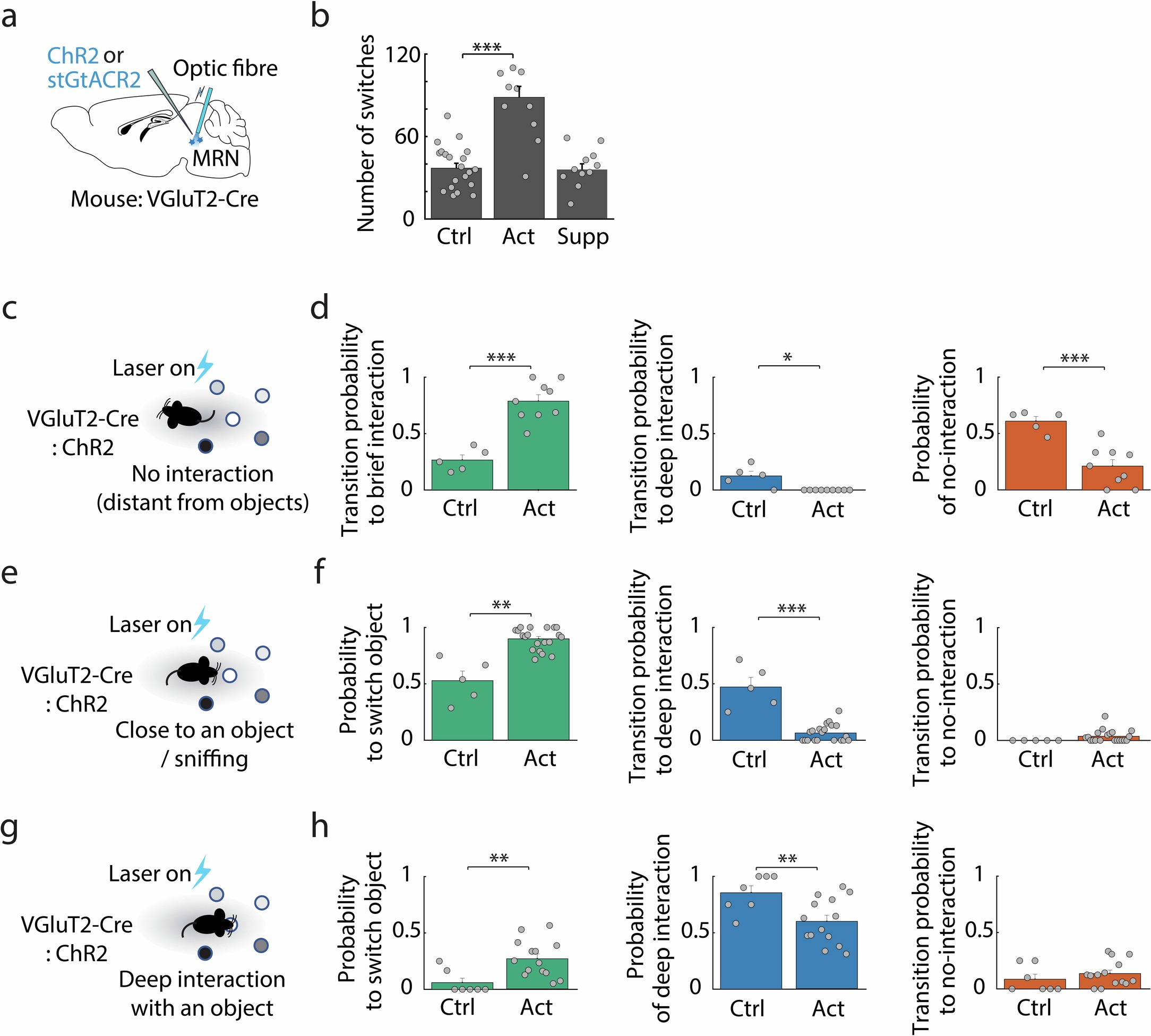 Extended Data Fig. 6: Impact of tonic and phasic optogenetic stimulation of VGluT2+ MRN neurons on object interaction.