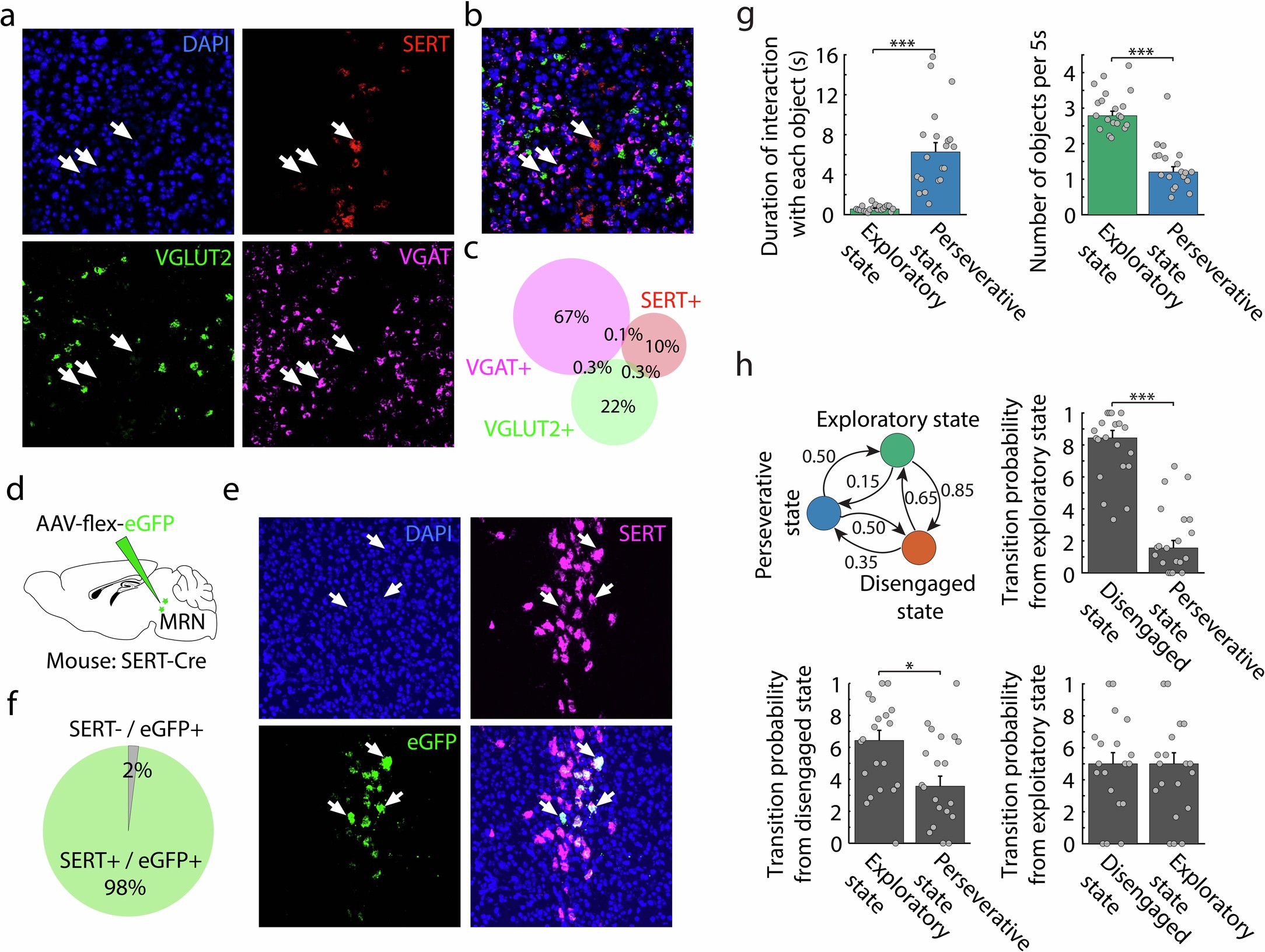 Extended Data Fig. 1: Expression and overlap of VGAT, VGluT2 and SERT in MRN, and interaction states extracted by hidden Markov model.
