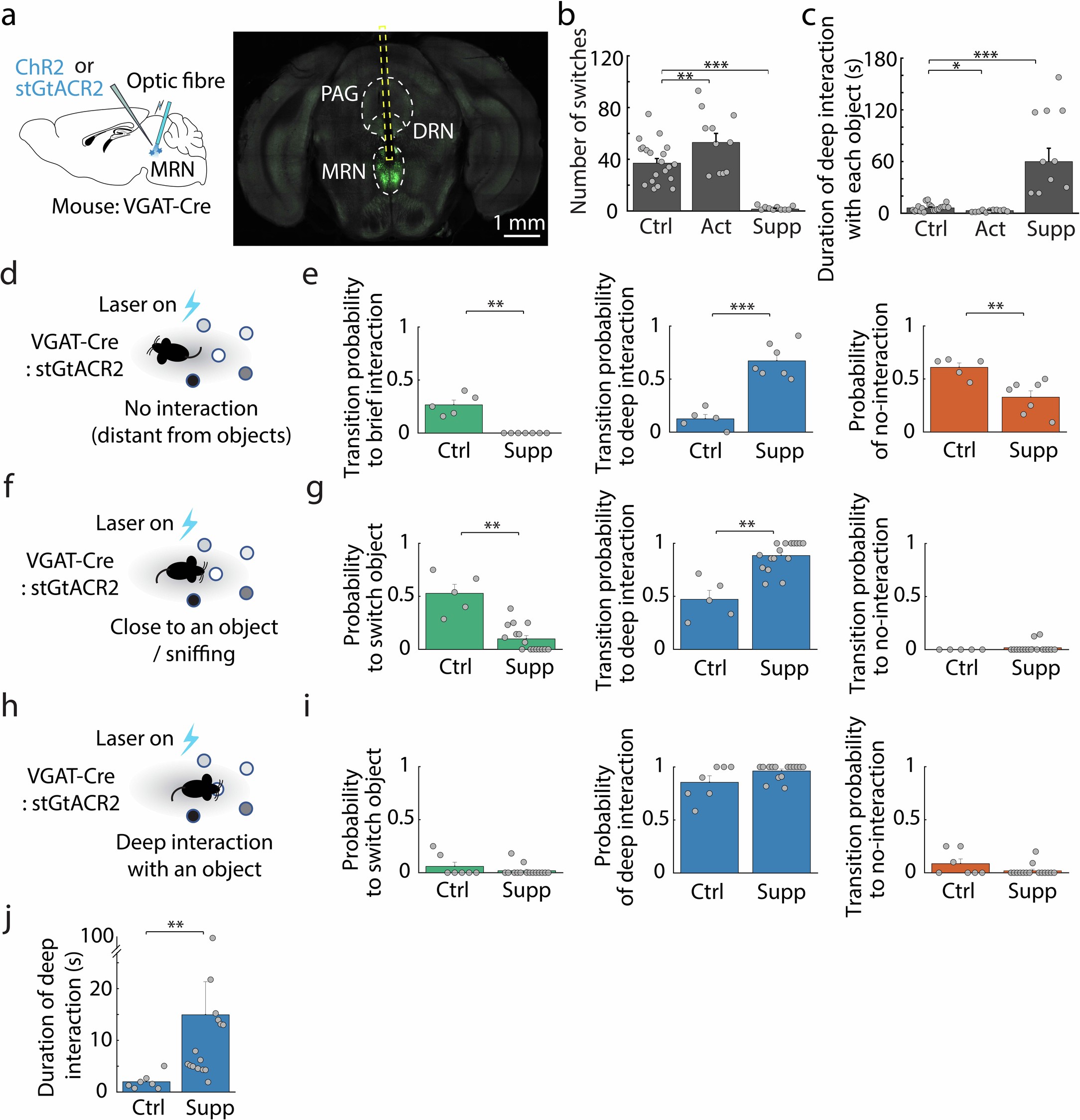 Extended Data Fig. 2: Impact of tonic and phasic optogenetic stimulation of VGAT+ MRN neurons on object interaction.