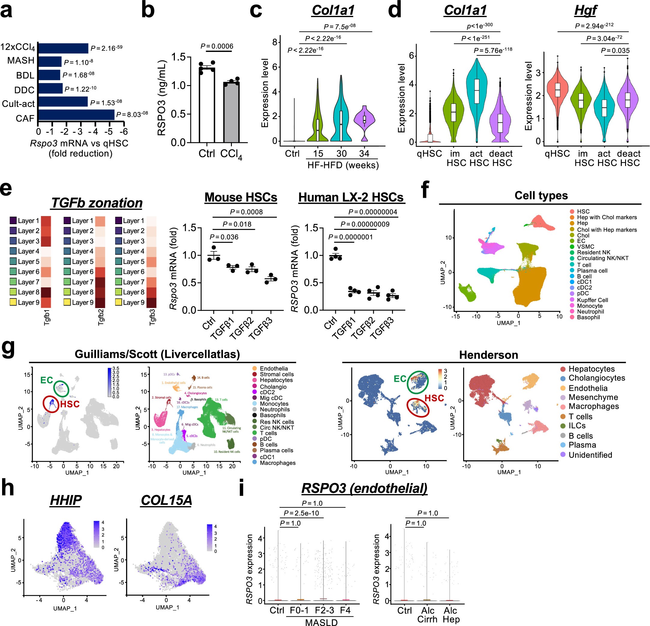 Extended Data Fig. 11: Expression and regulation of Rspo3.