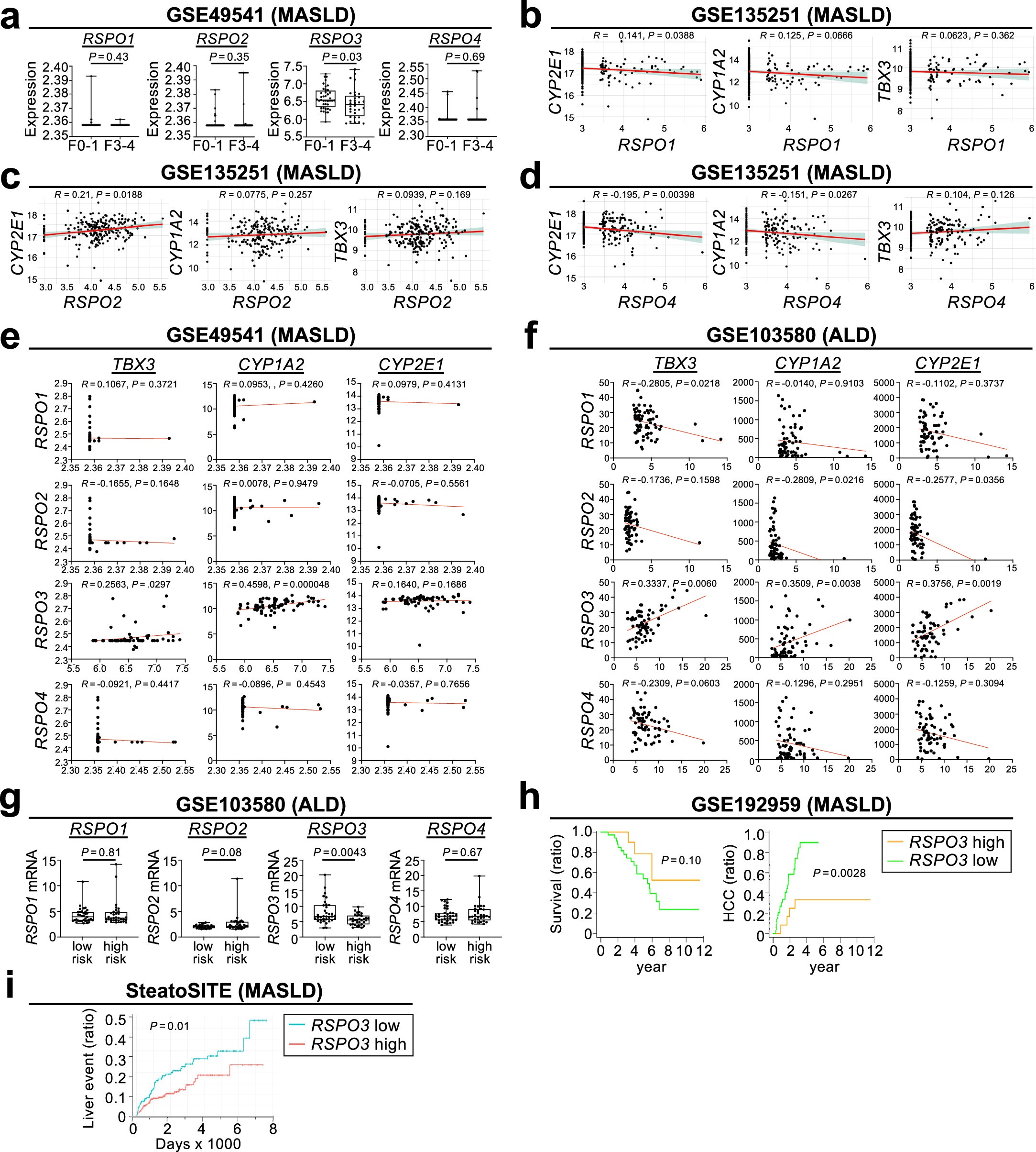 Extended Data Fig. 12: Expression and correlation with WNT target gene expression and outcomes of R-spondins in human cohorts with MASLD and ALD.