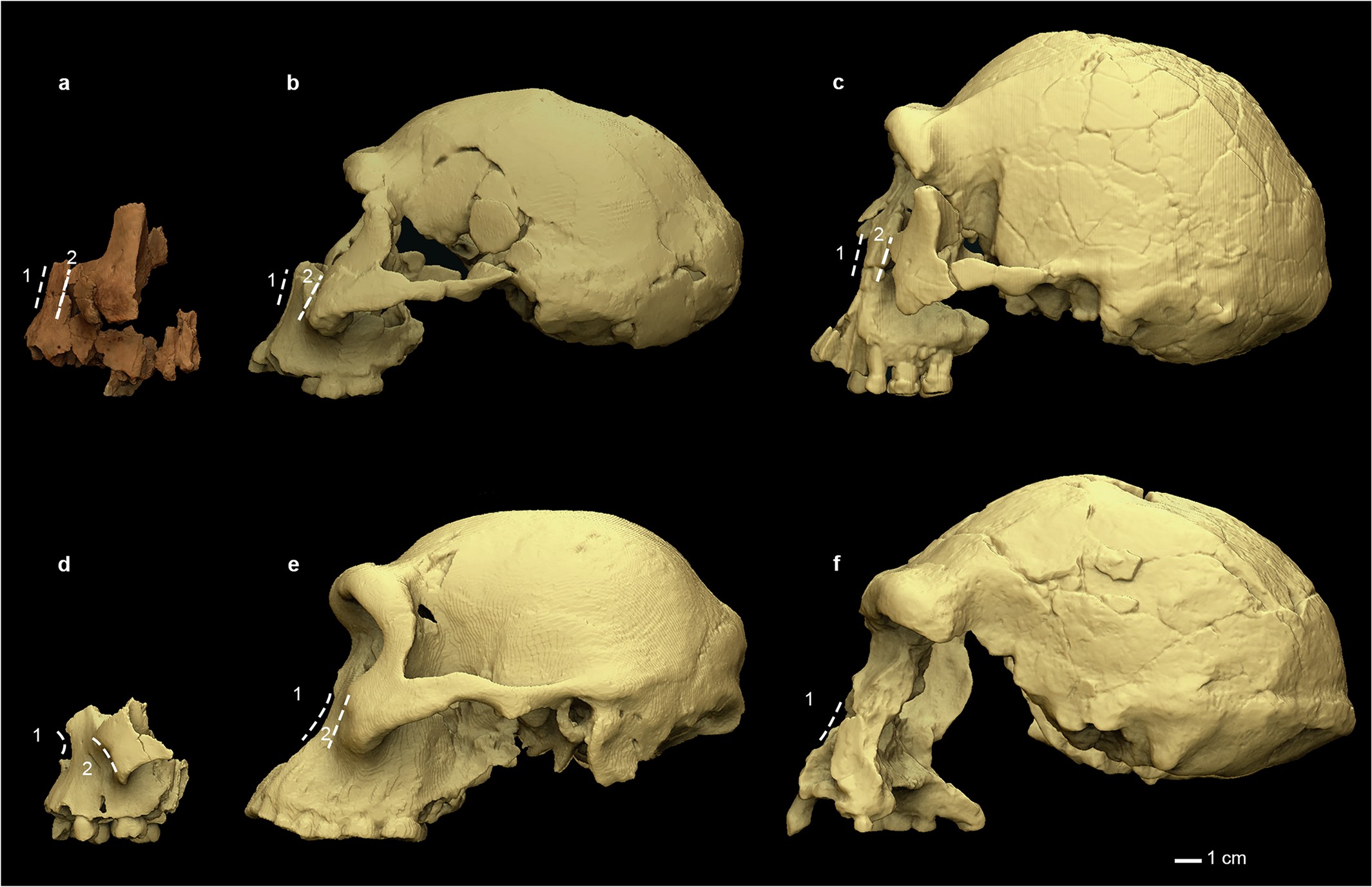 Extended Data Fig. 2