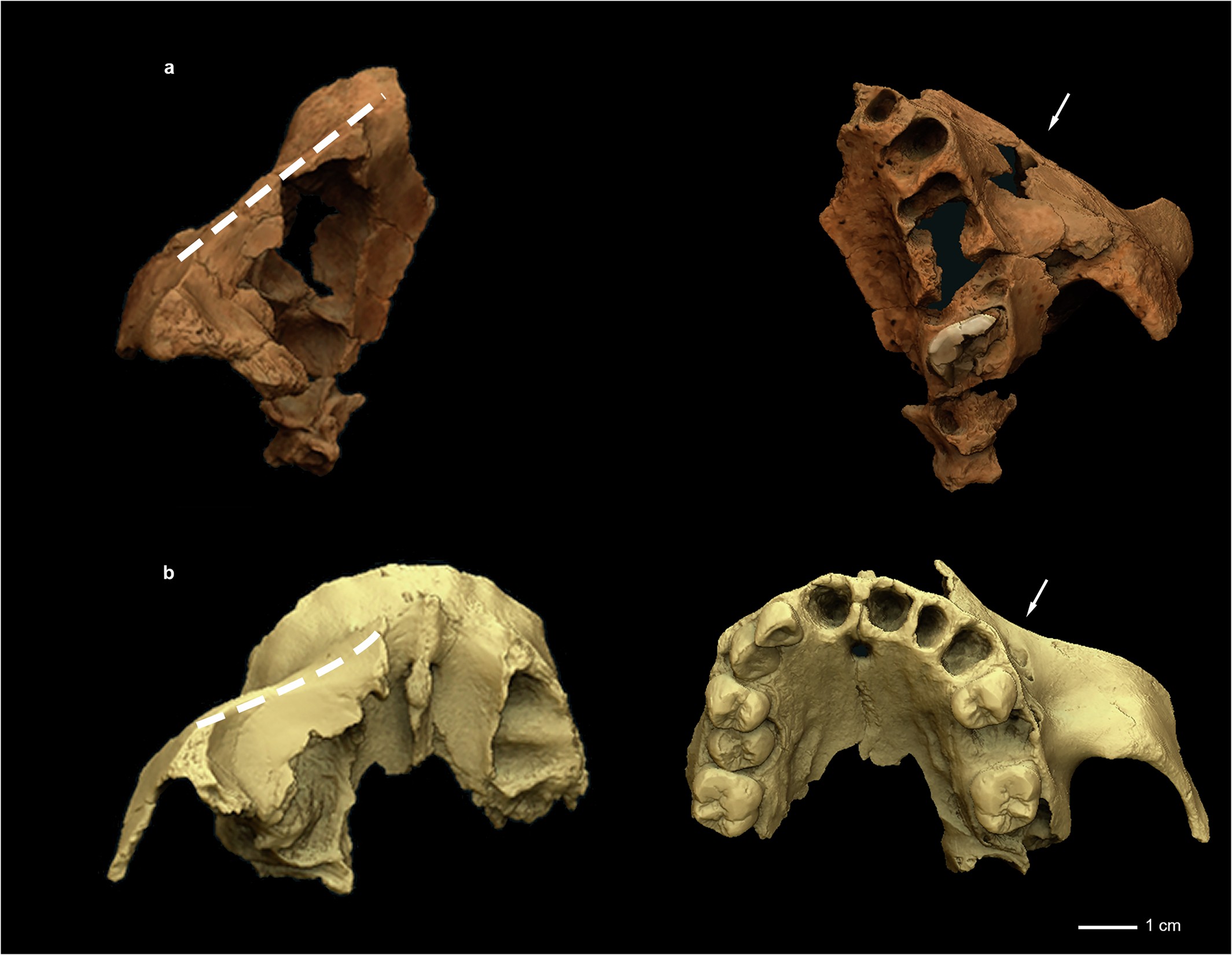 Extended Data Fig. 3