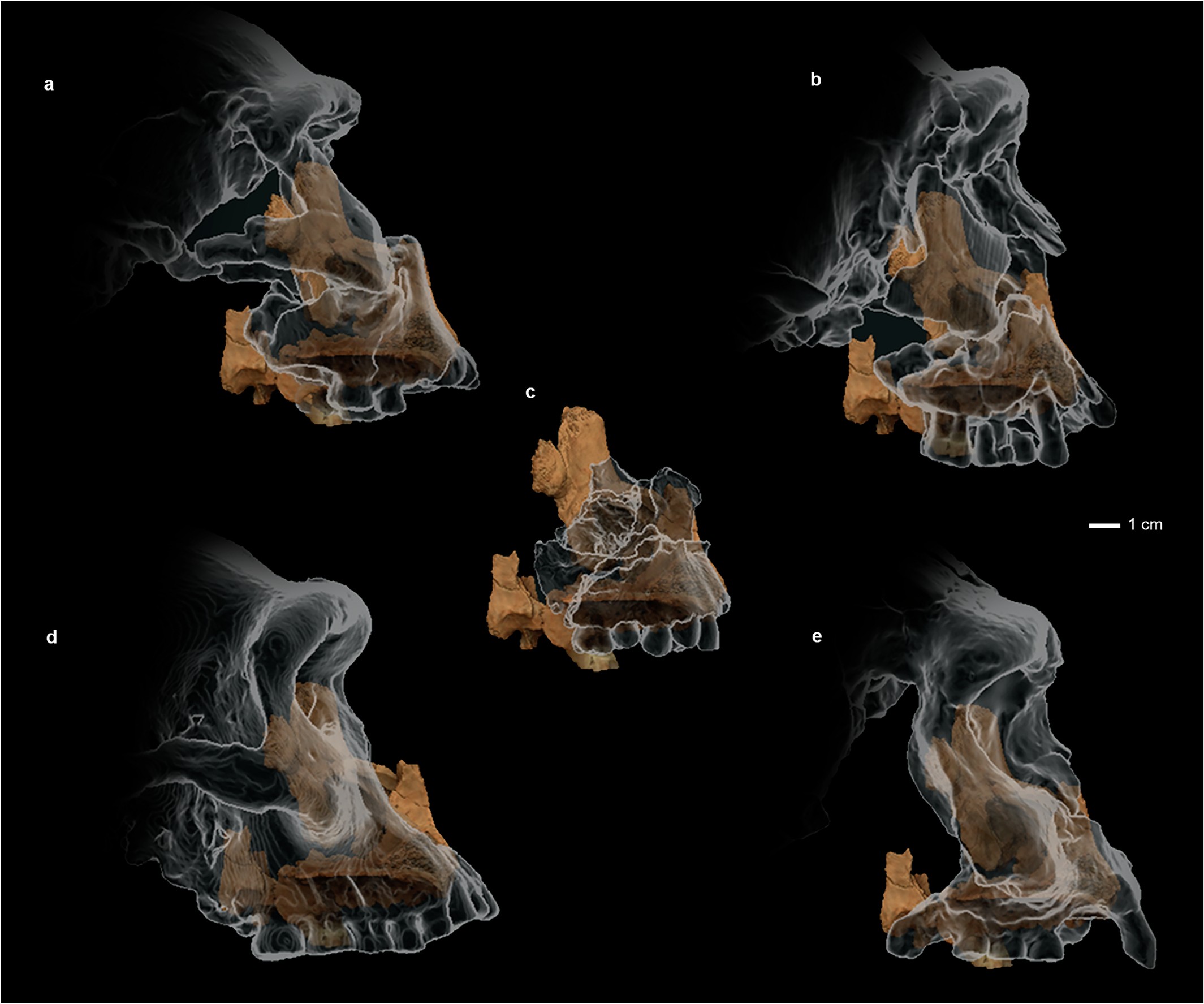 Extended Data Fig. 4