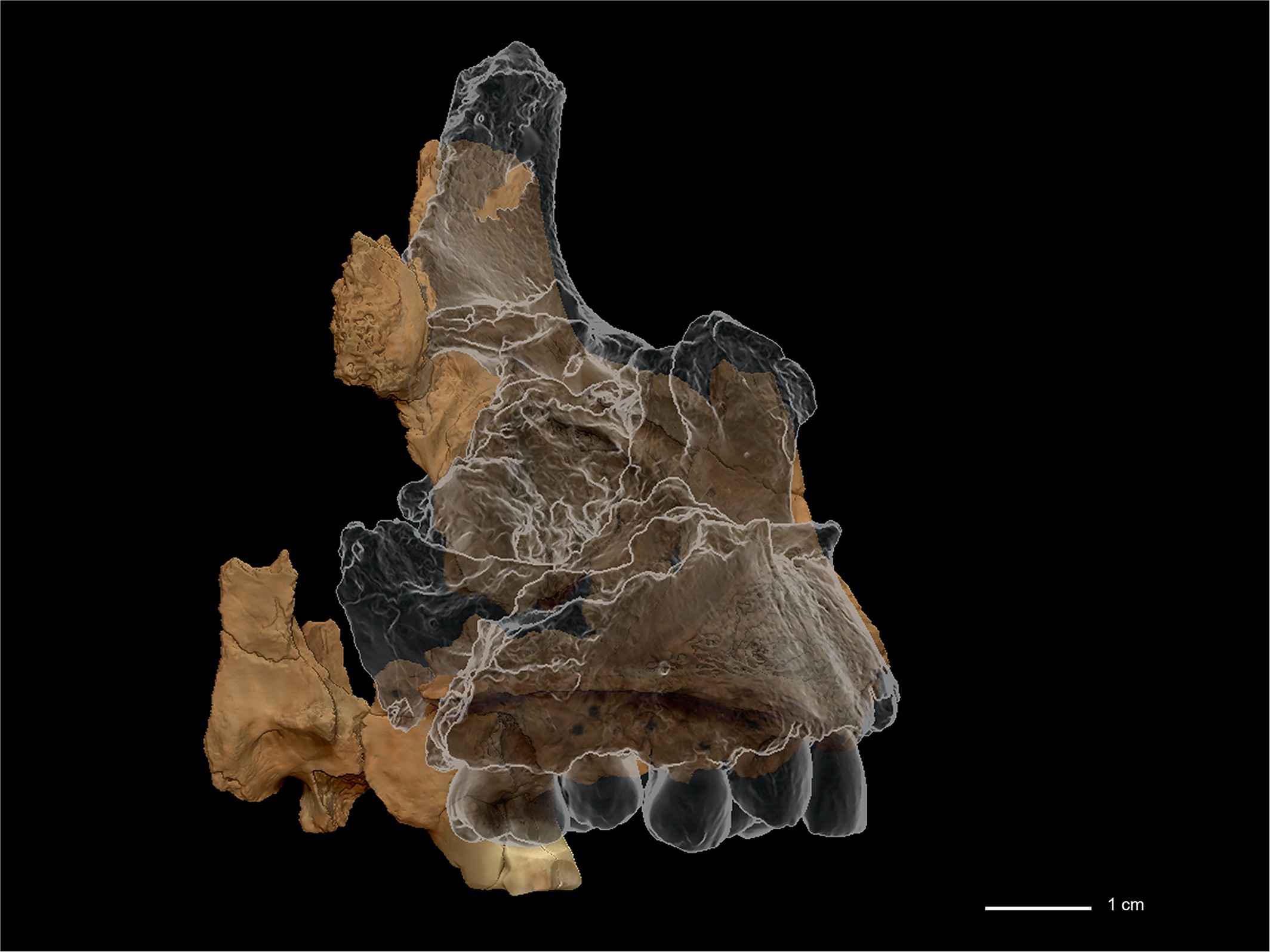 Extended Data Fig. 5