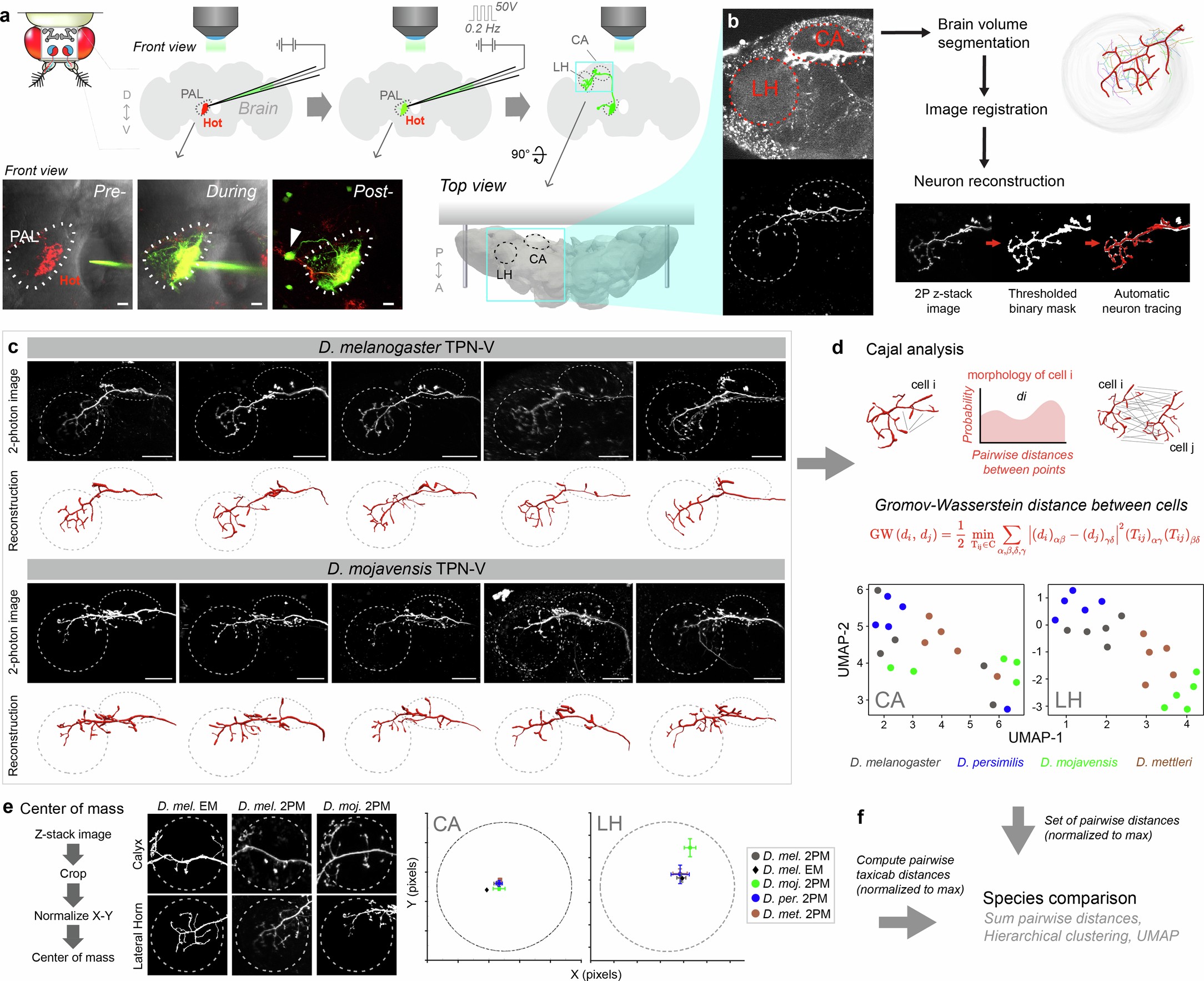 Extended Data Fig. 3