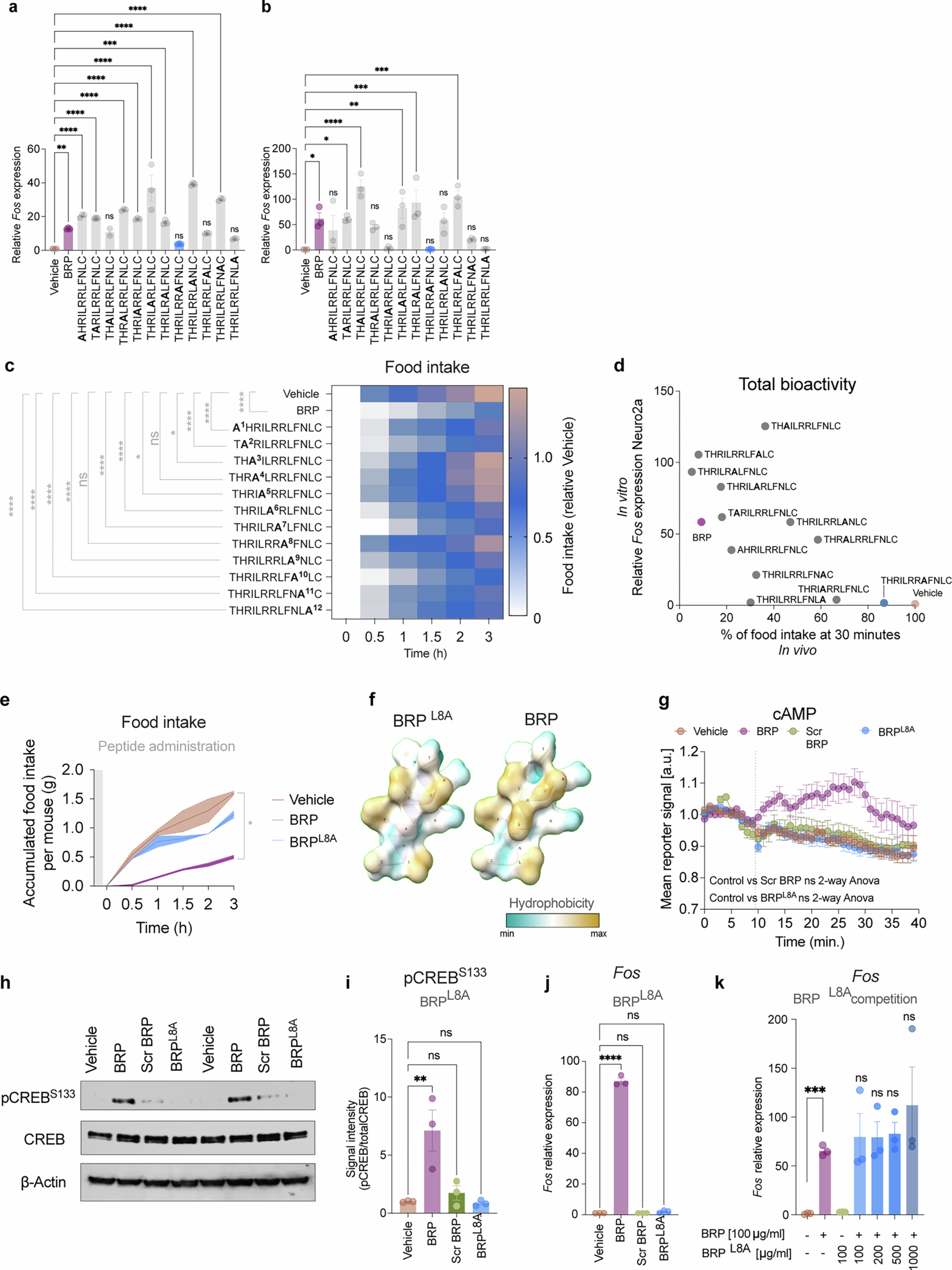 Extended Data Fig. 10: Leu8 is necessary for the signalling and anorexigenic action of BRP.