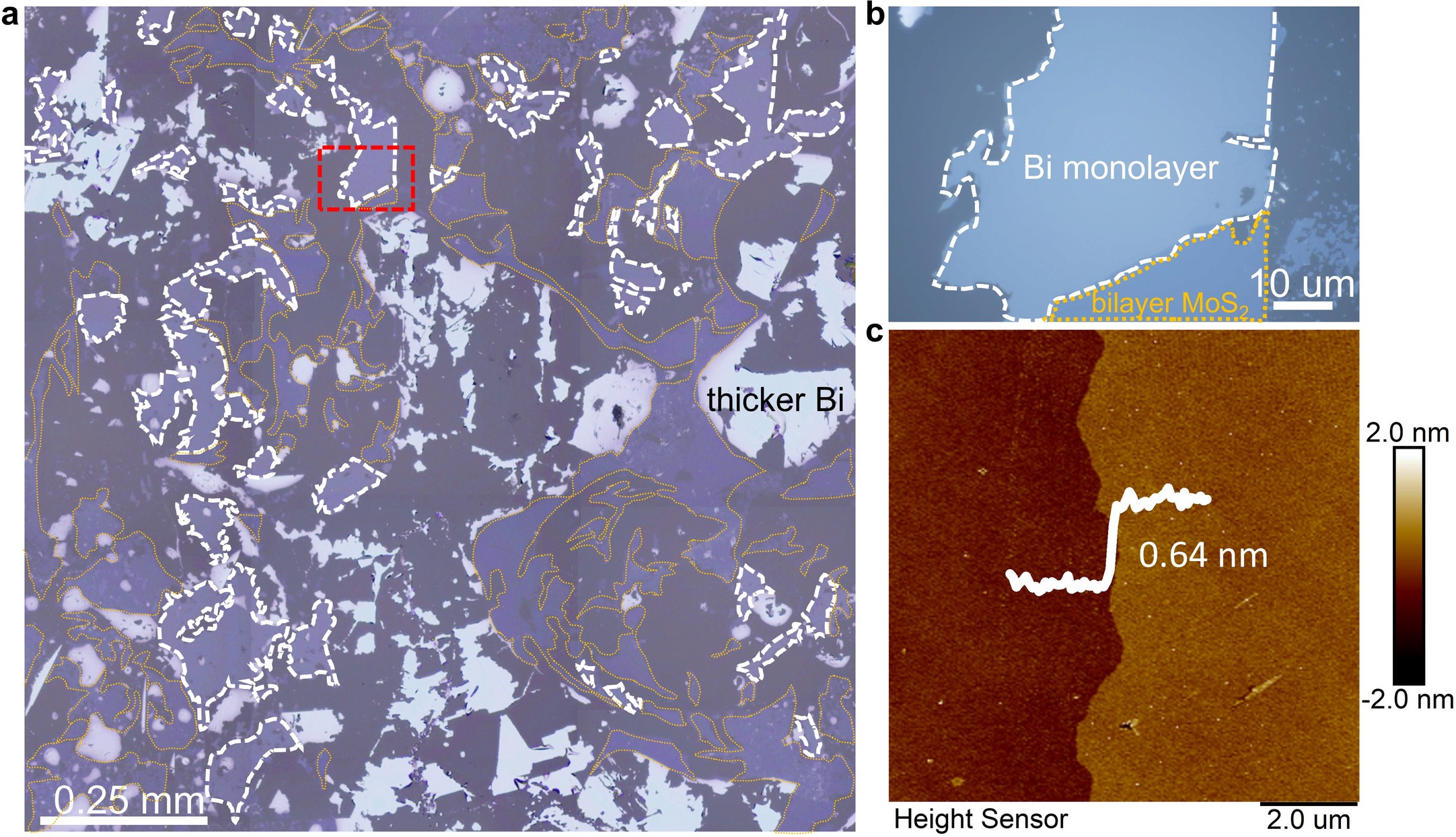Extended Data Fig. 2: The large-scale optical image.