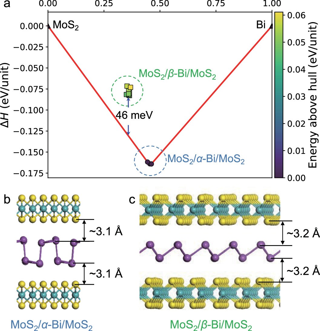 Extended Data Fig. 5: Theoretical calculations.
