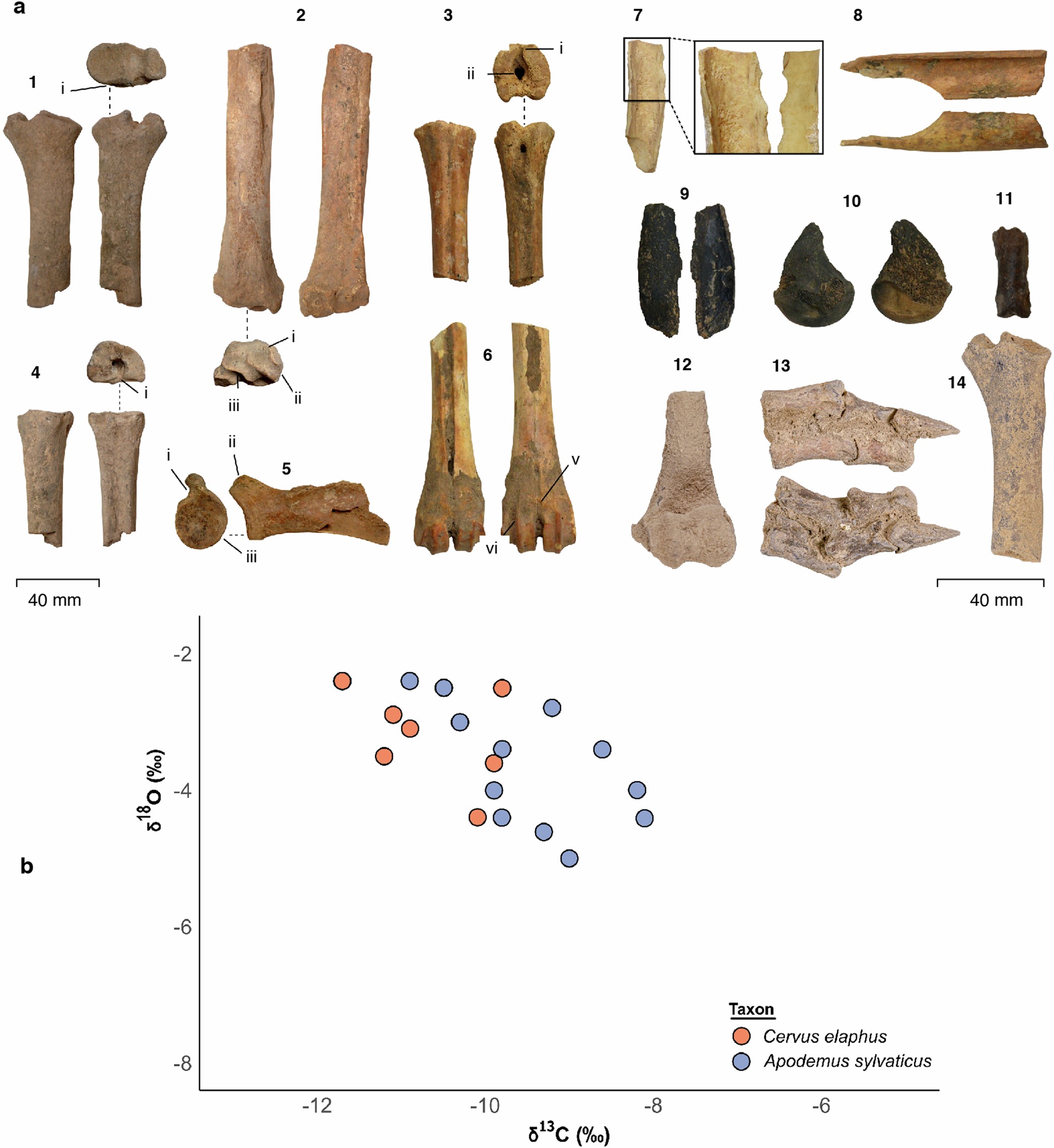 Extended Data Fig. 11