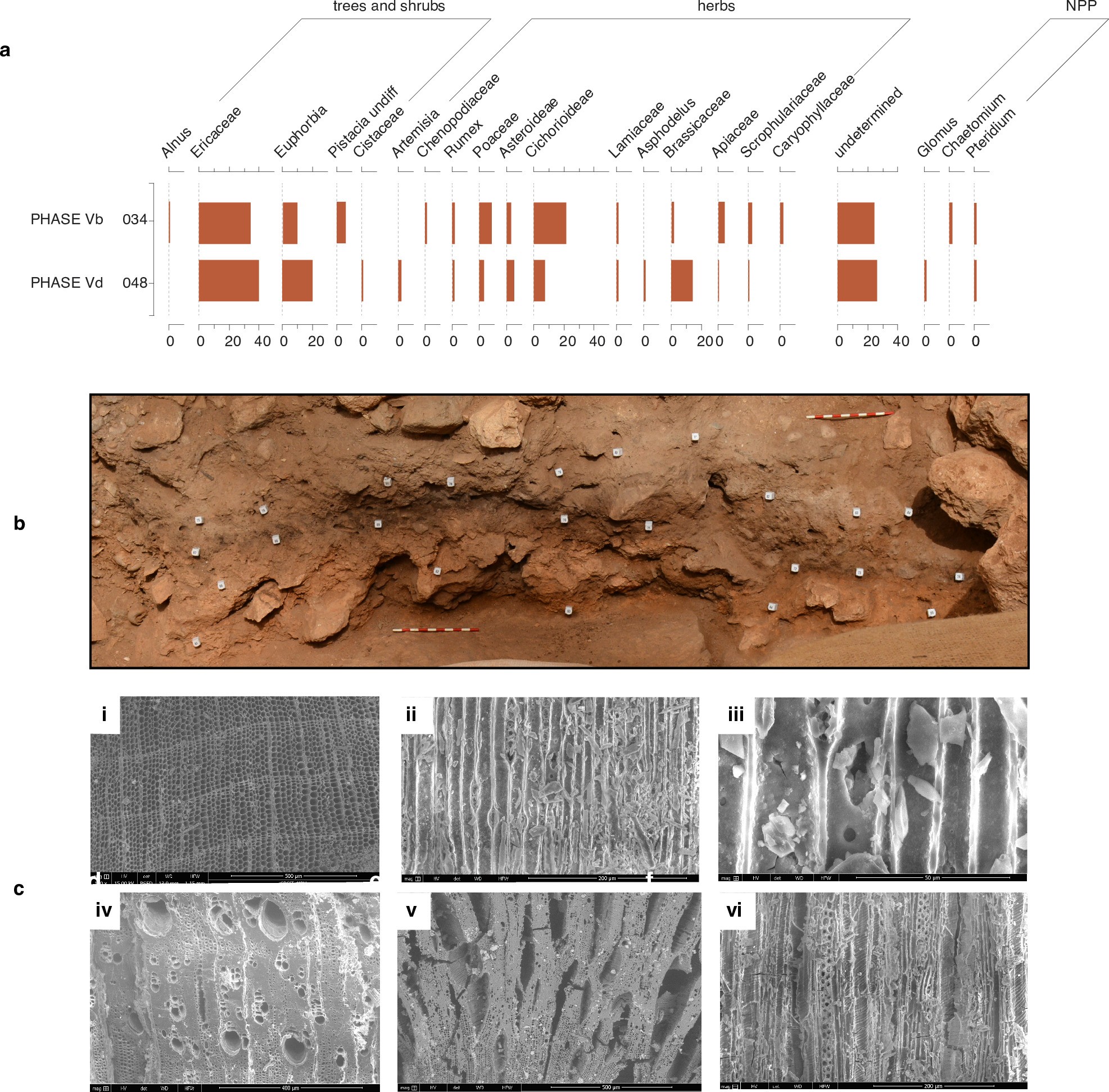 Extended Data Fig. 4