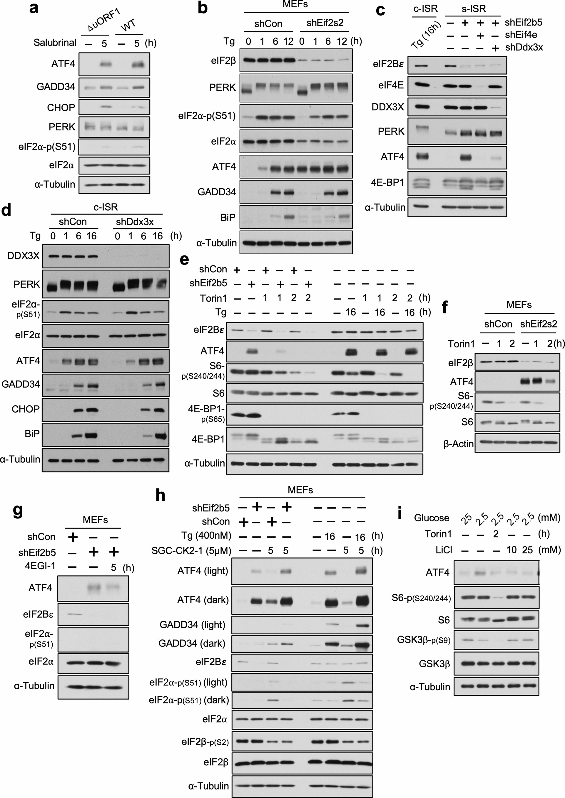 Extended Data Fig. 8