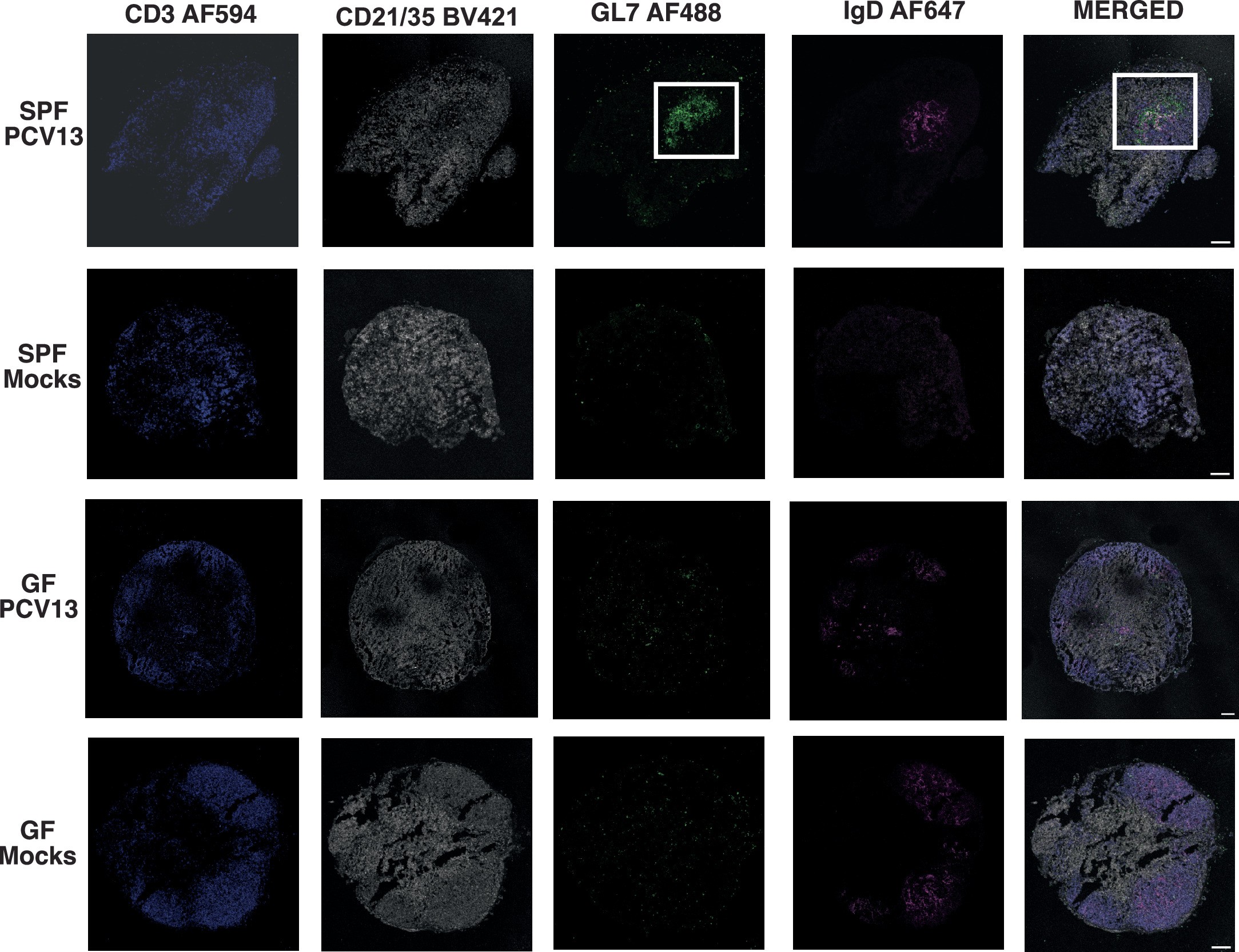 Extended Data Fig. 9