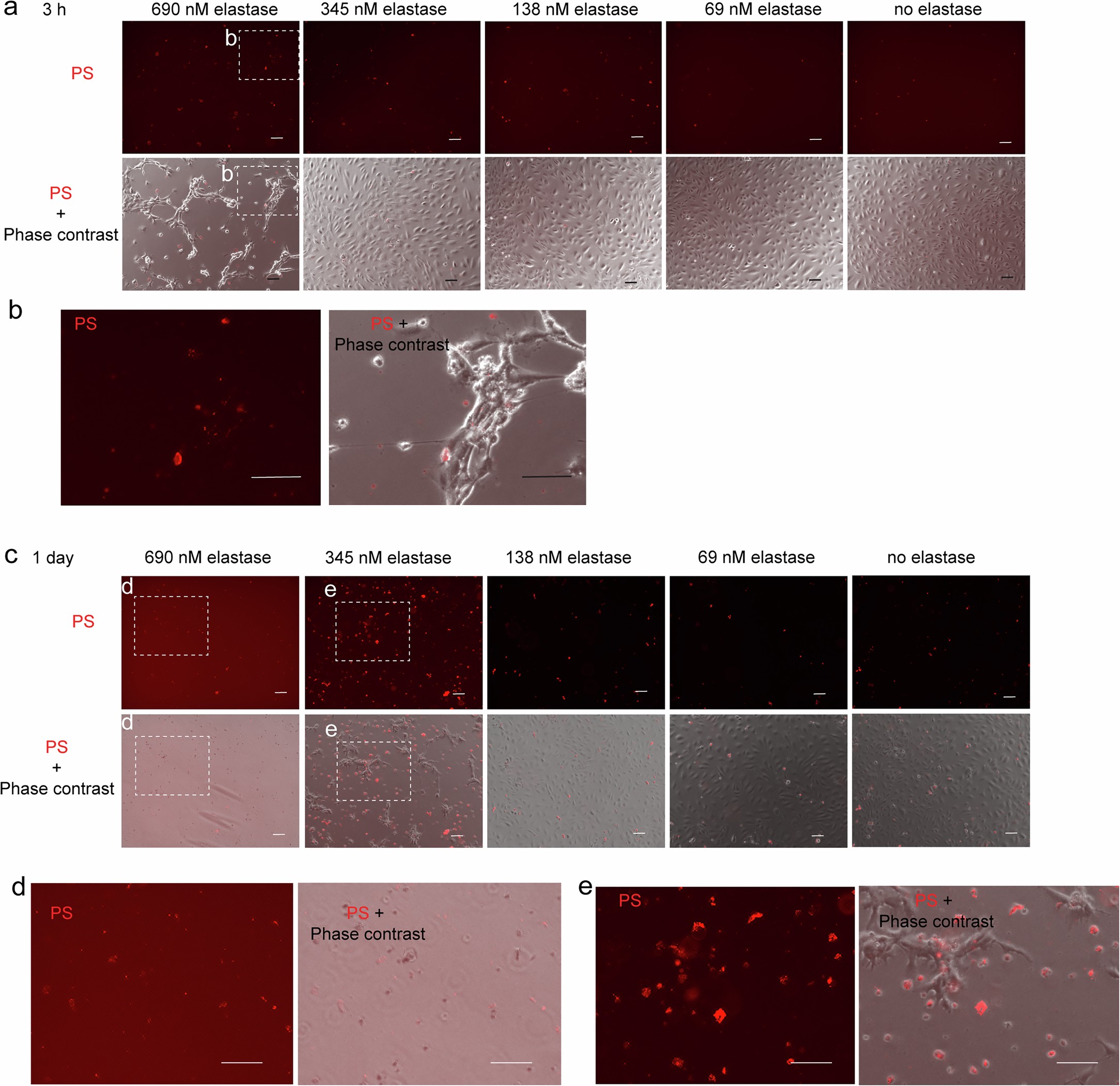 Extended Data Fig. 8