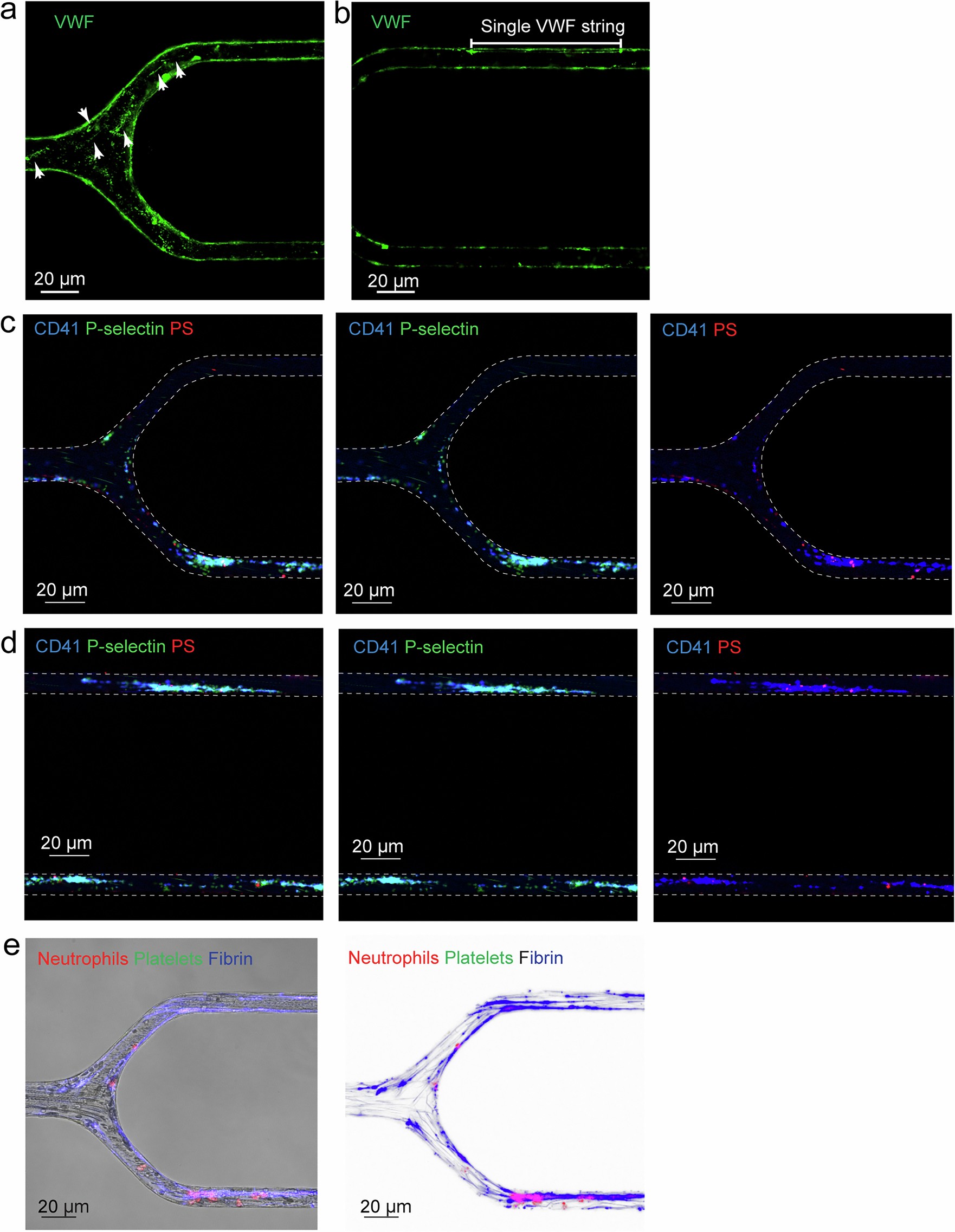 Extended Data Fig. 3