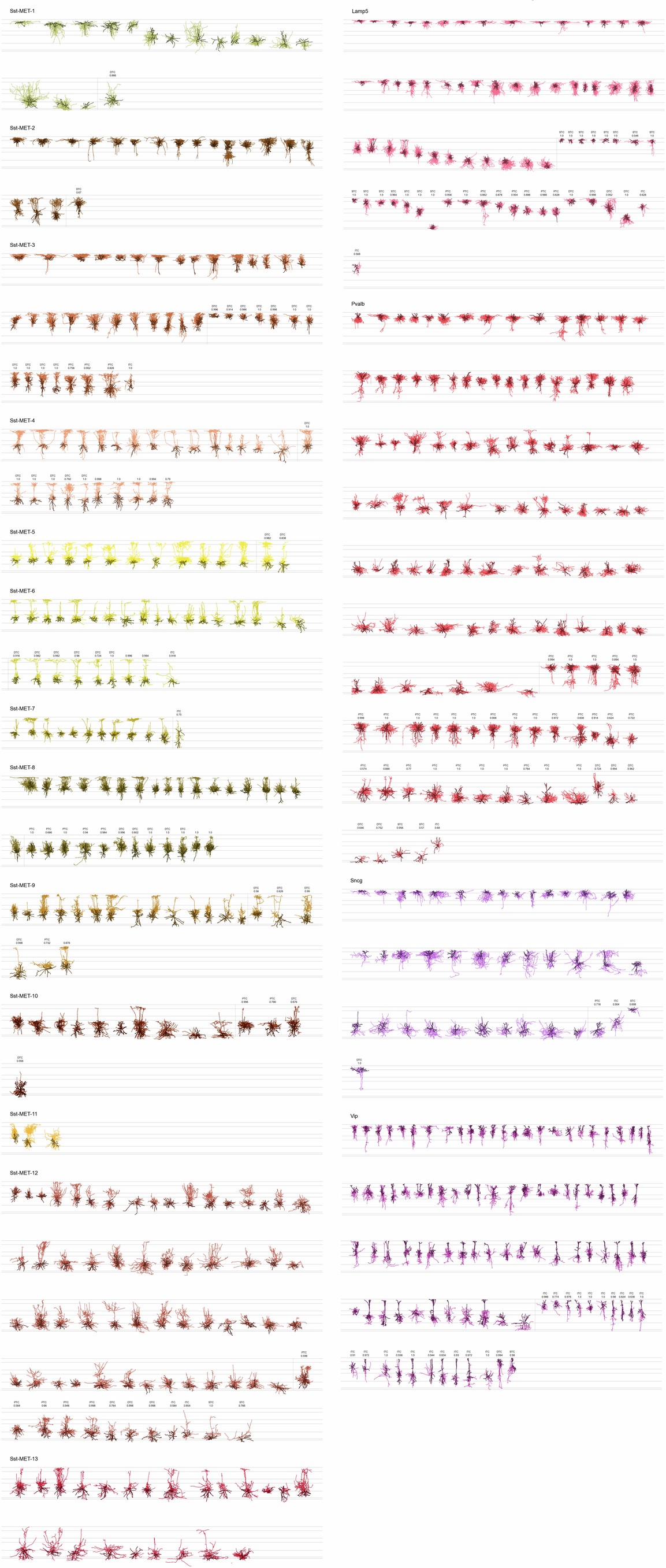 Extended Data Fig. 4: Morphology of Patch-seq and EM cells grouped by subclass or Sst MET-type.