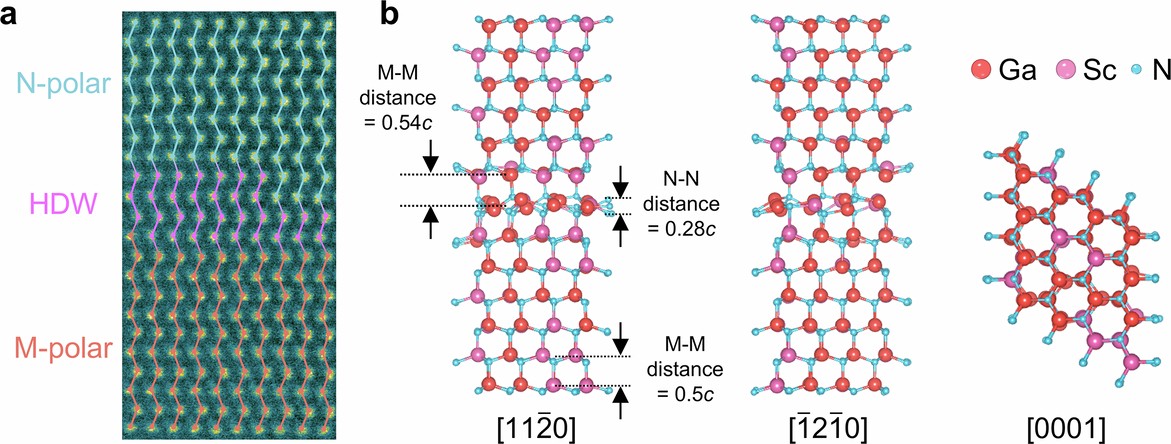 Extended Data Fig. 5