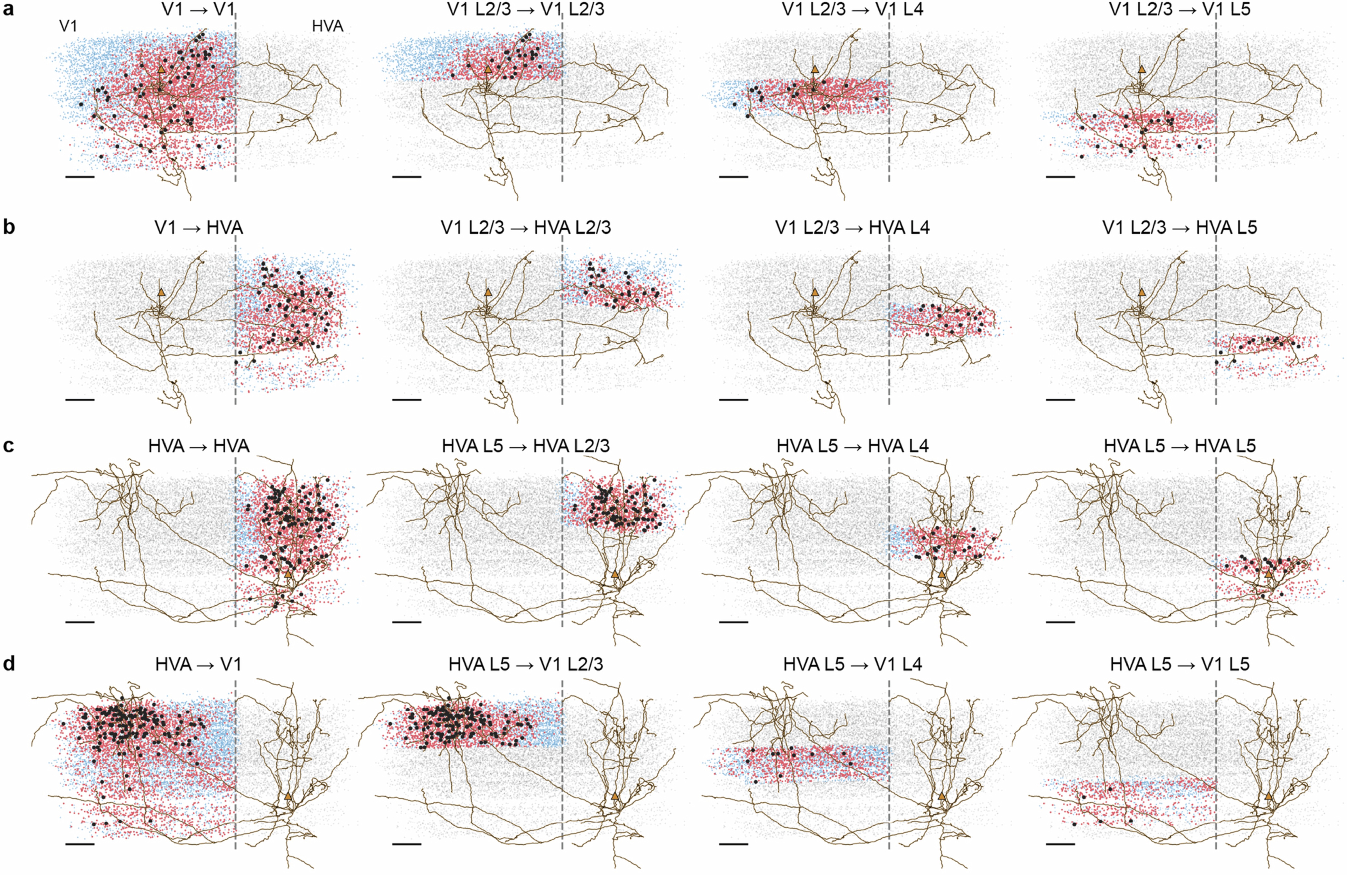 Extended Data Fig. 5: Example of connected, ADP, and same area controls for the area/layer analysis in Fig. 4.