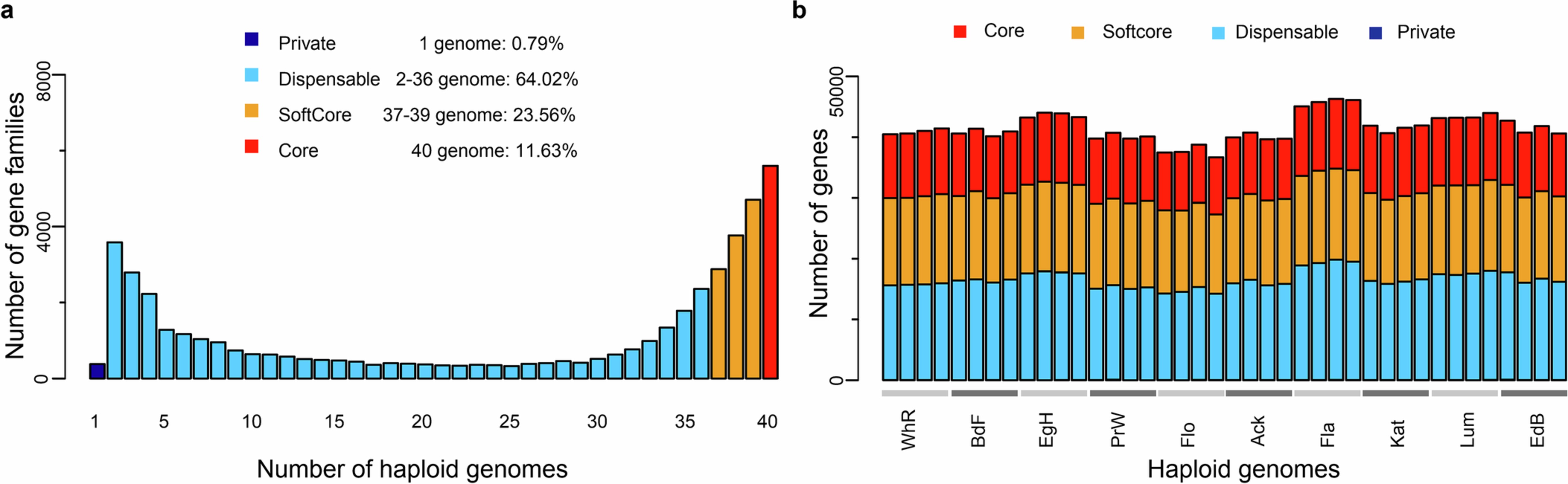 Extended Data Fig. 6: Gene (family) number and gene sharing.