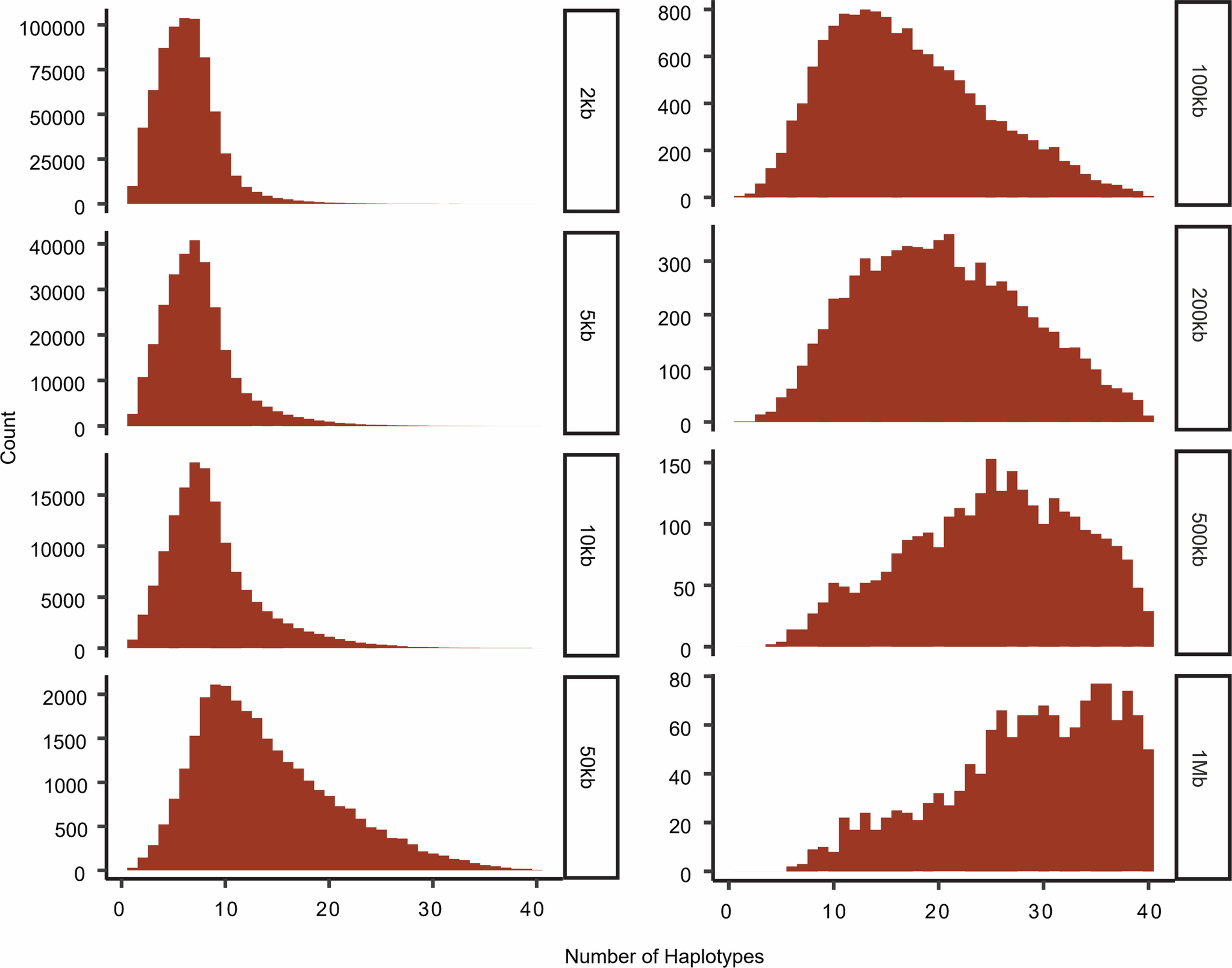 Extended Data Fig. 4: Distribution of haplotype numbers with different window sizes.