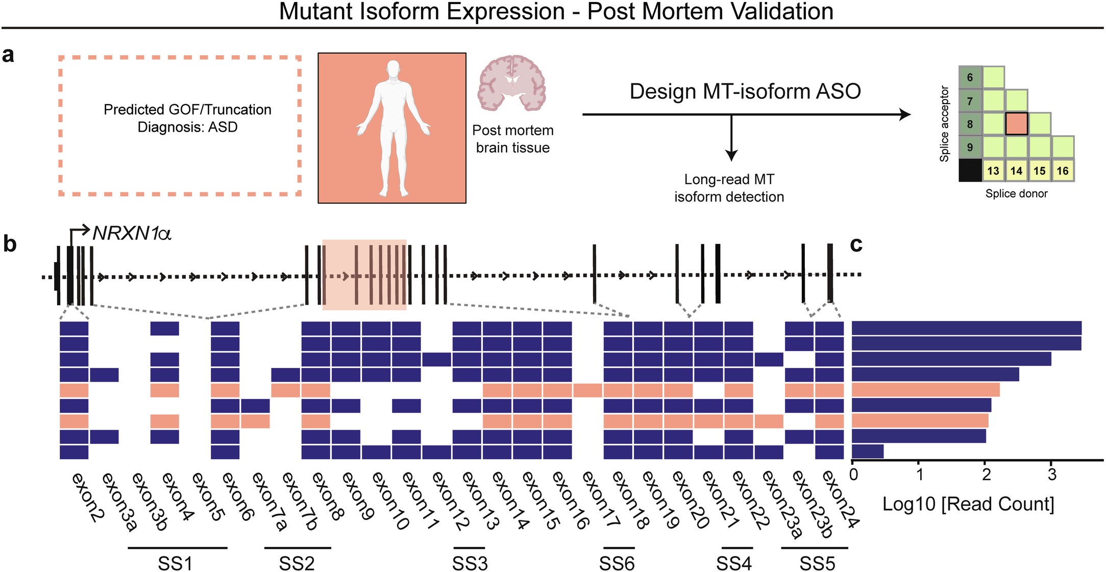 Extended Data Fig. 10