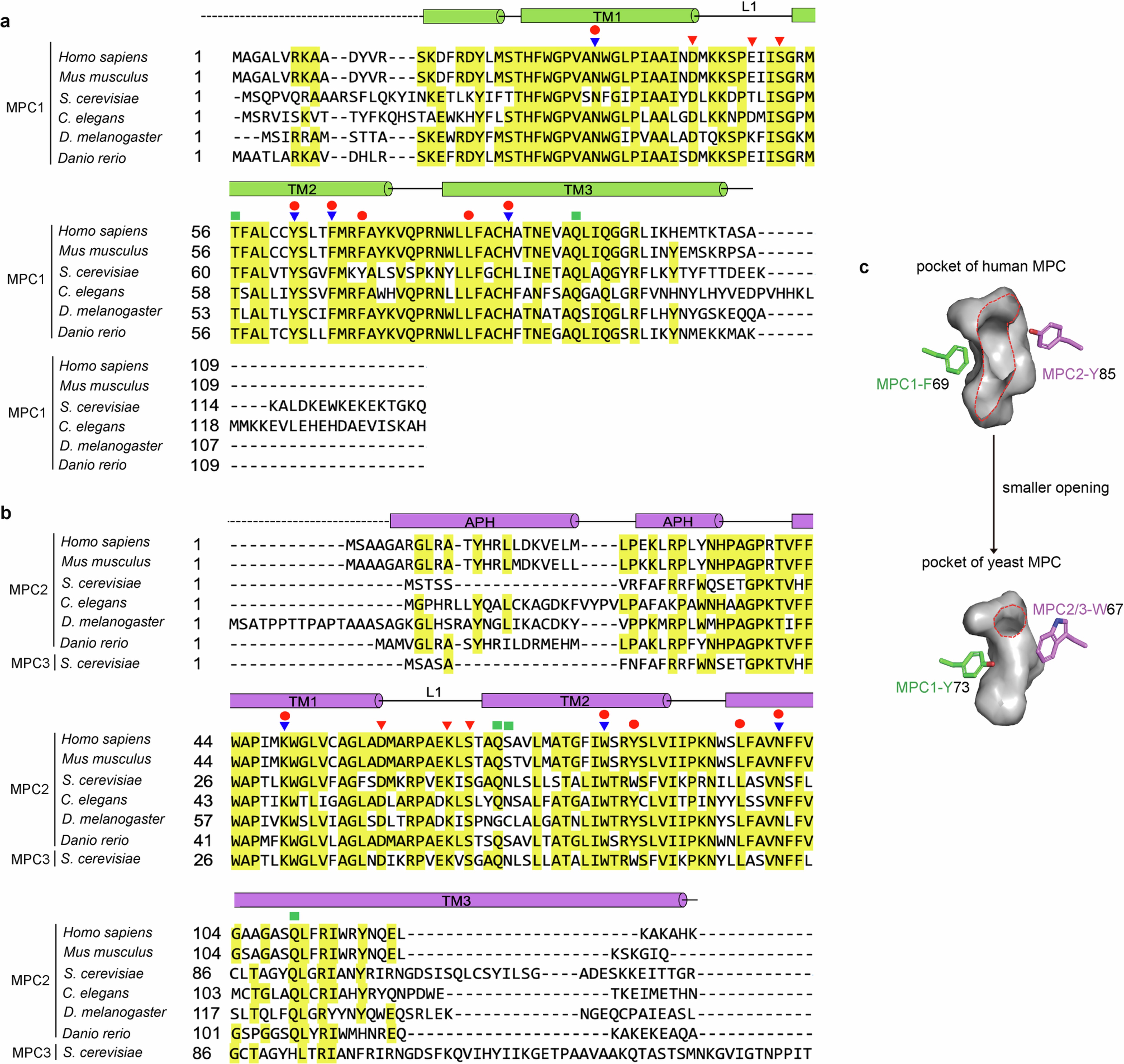 Extended Data Fig. 8